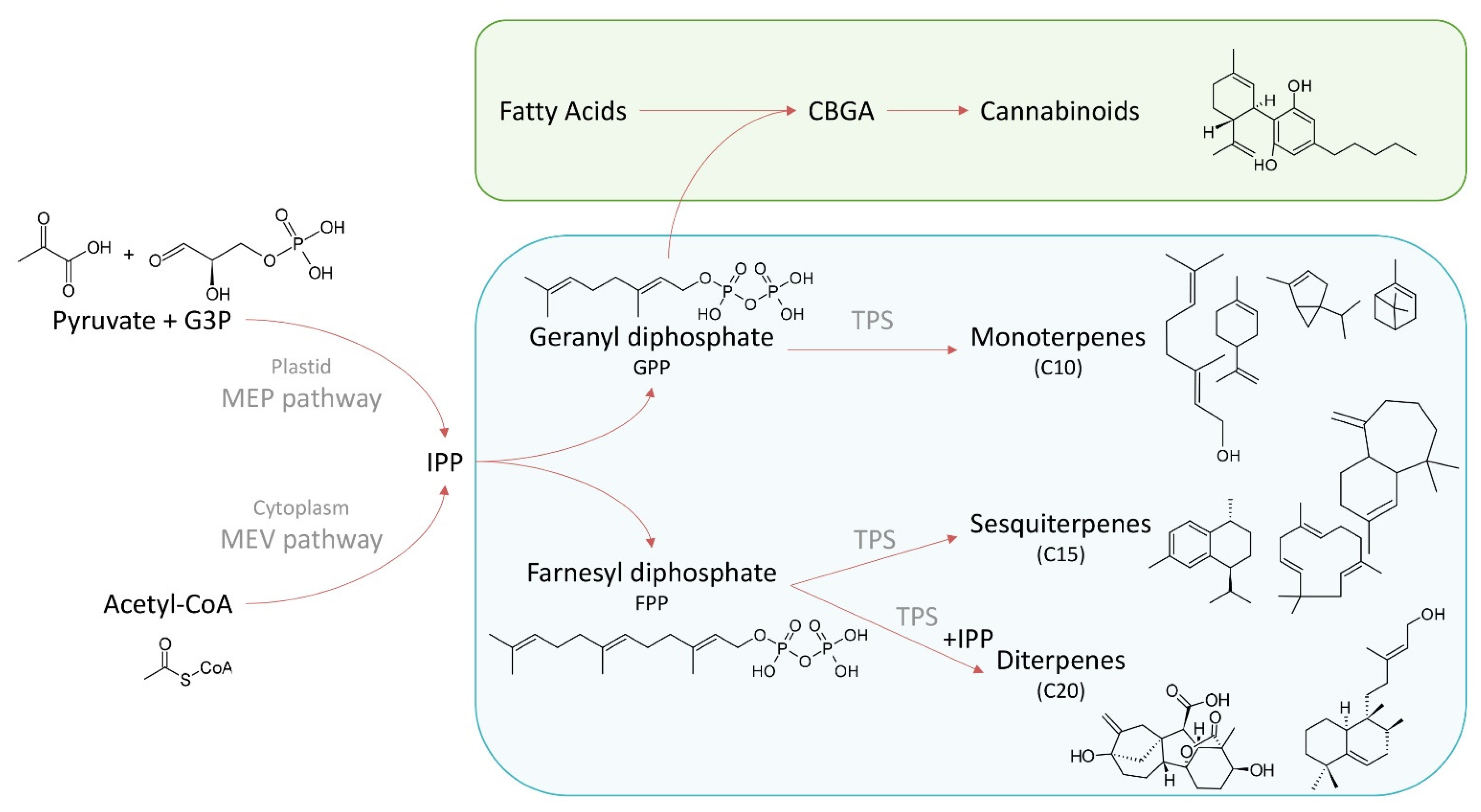Biomedicines 10 03142 g001