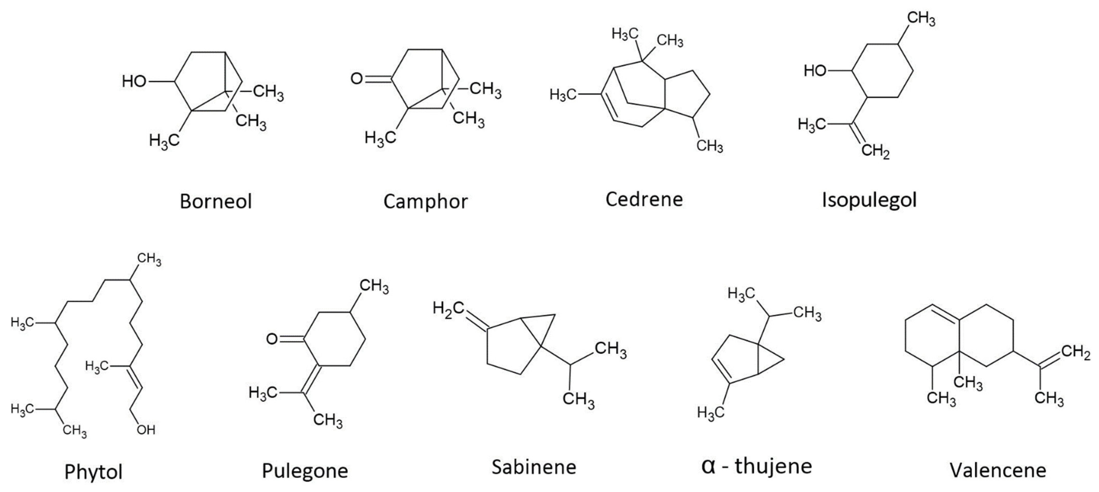 Biomedicines 10 03142 g002