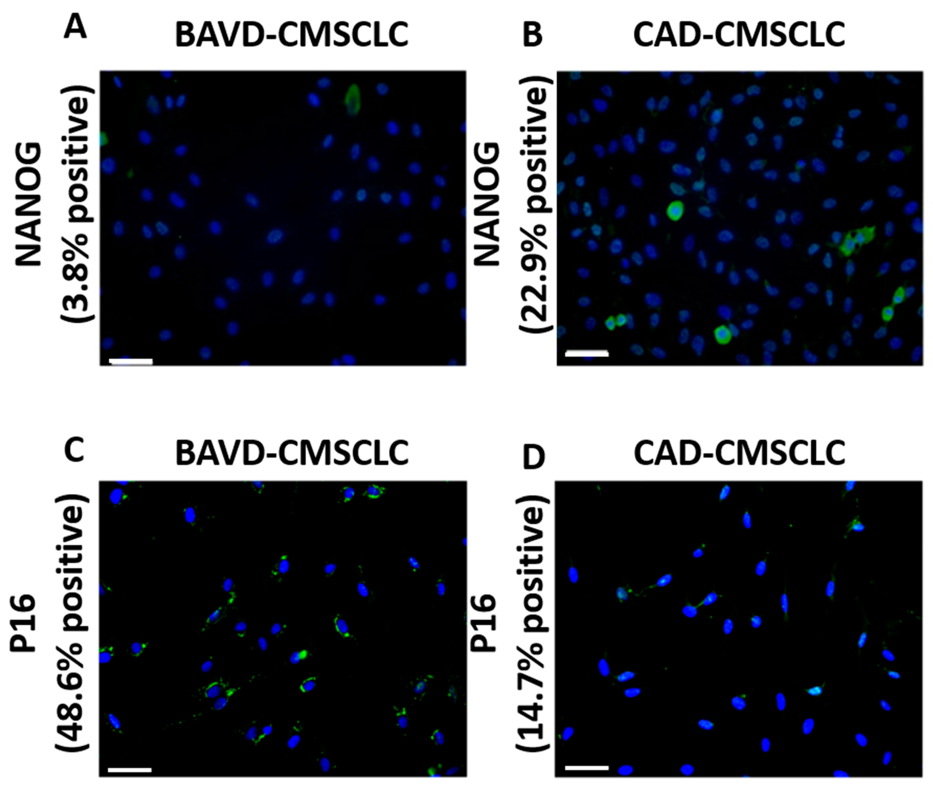 Biomedicines 10 03143 g003 Biomedicines 10 03143 g003