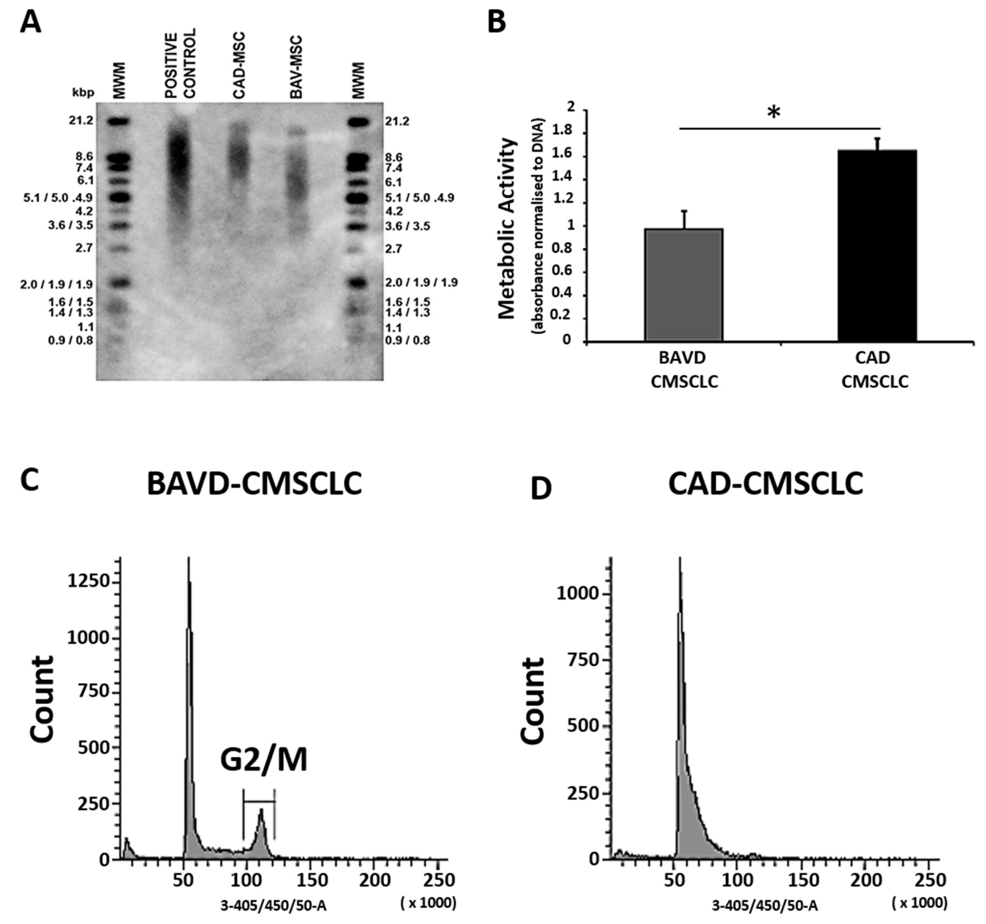 Biomedicines 10 03143 g004 Biomedicines 10 03143 g004