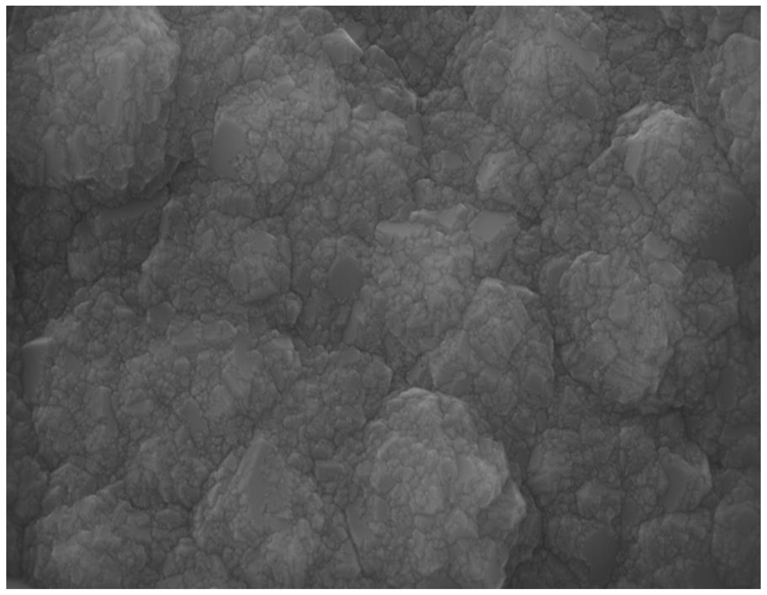 Biomedicines 10 03149 g003 Biomedicines 10 03149 g003