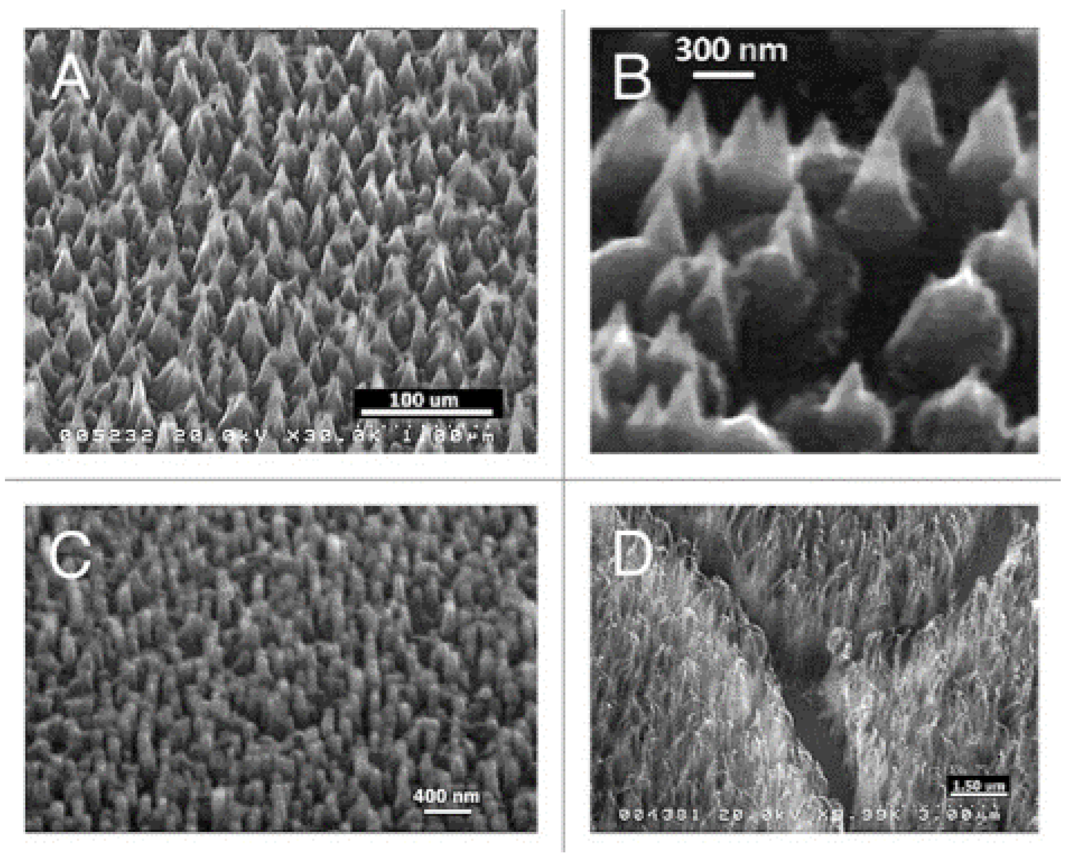 Biomedicines 10 03149 g004 Biomedicines 10 03149 g004