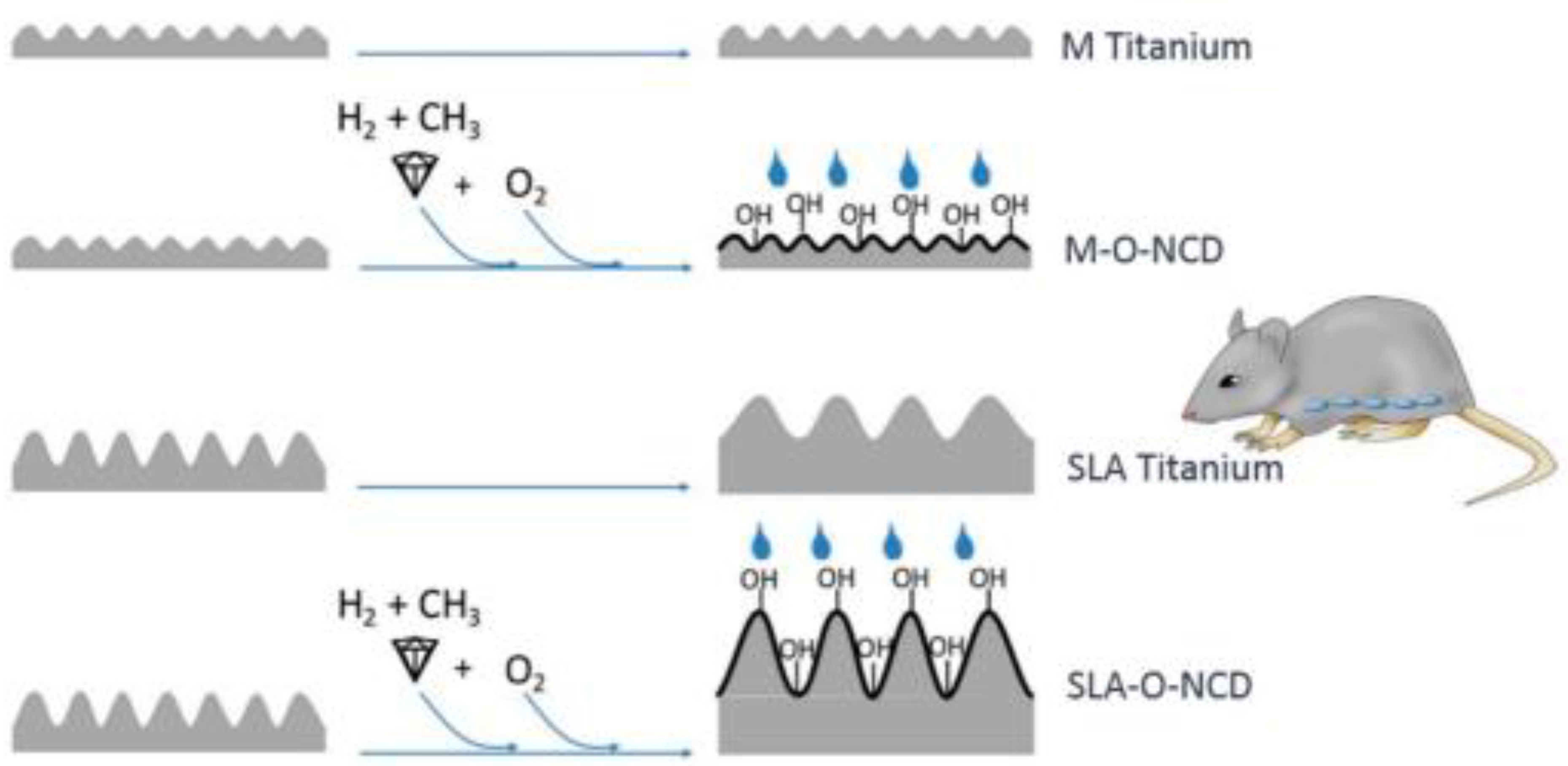 Biomedicines 10 03149 g006 Biomedicines 10 03149 g006