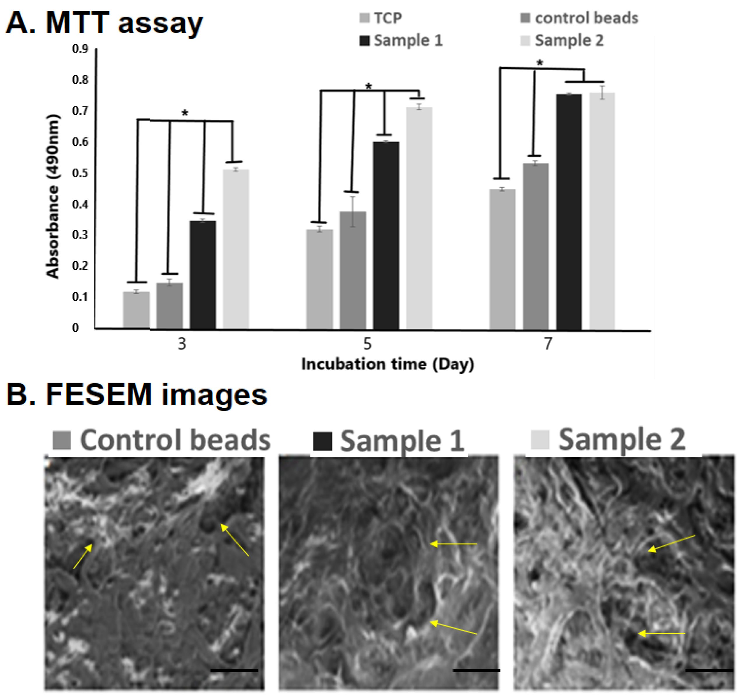 Biomedicines 10 03157 g004 Biomedicines 10 03157 g004