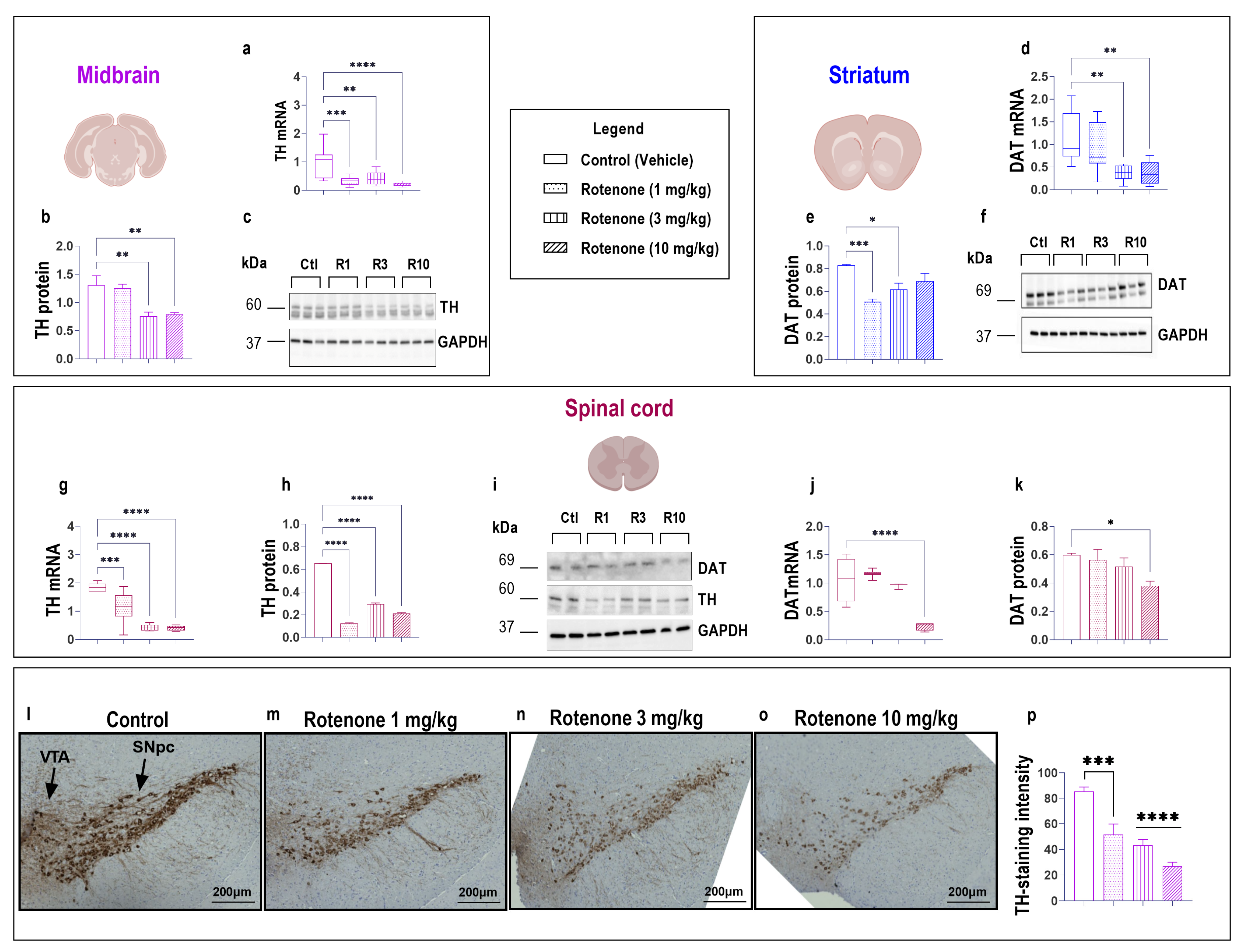 Biomedicines 10 03174 g002