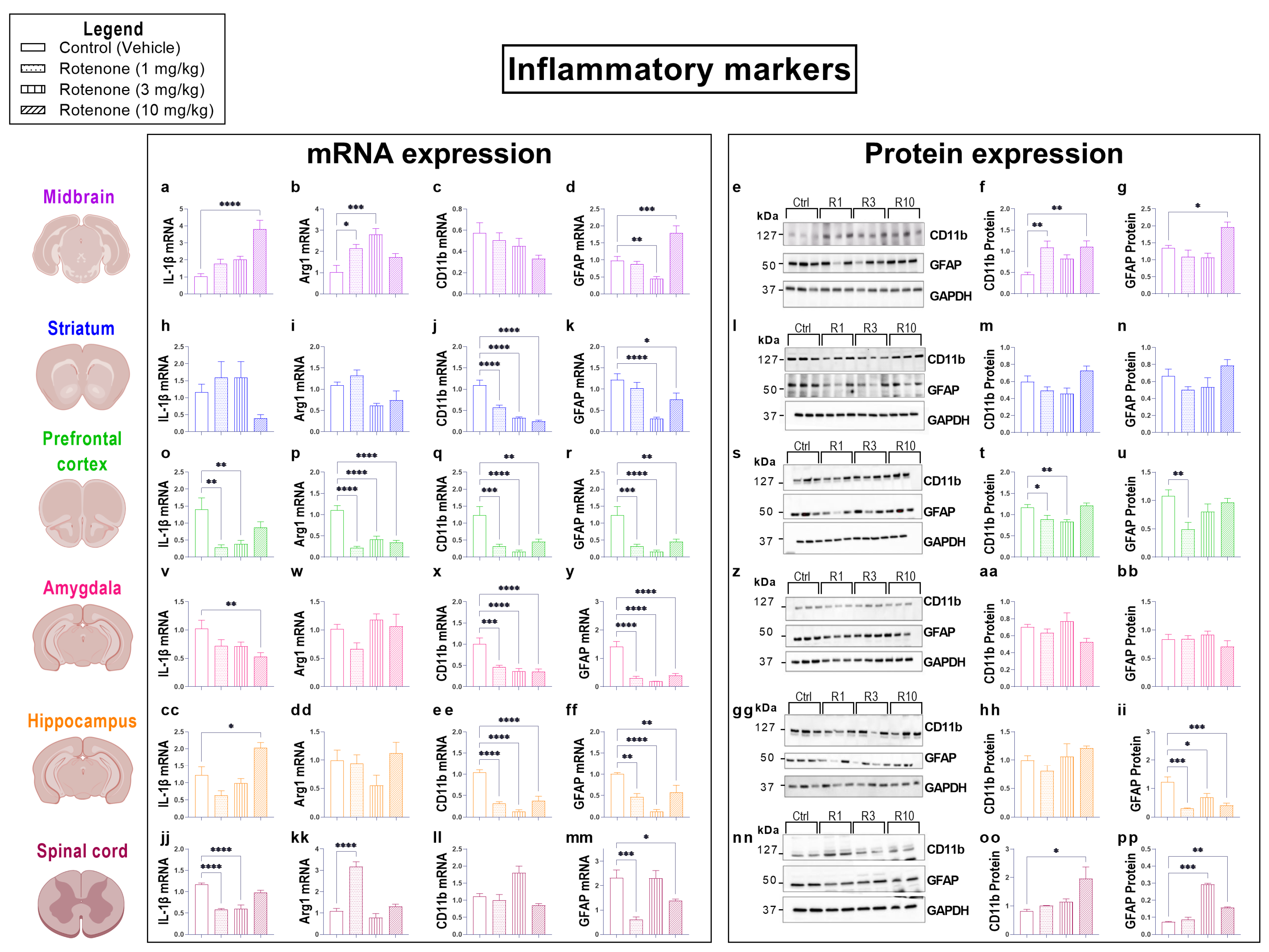 Biomedicines 10 03174 g005