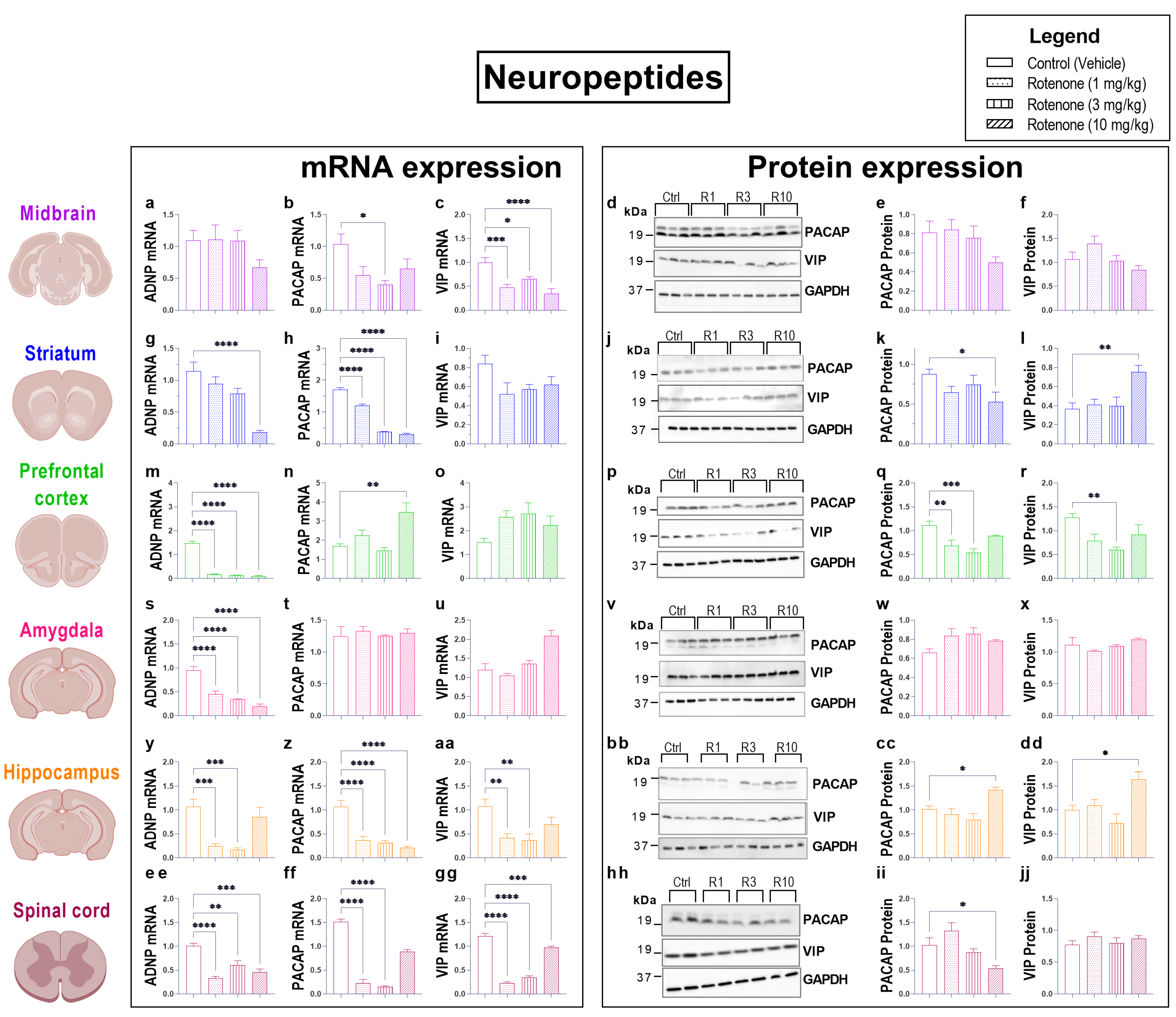 Biomedicines 10 03174 g006