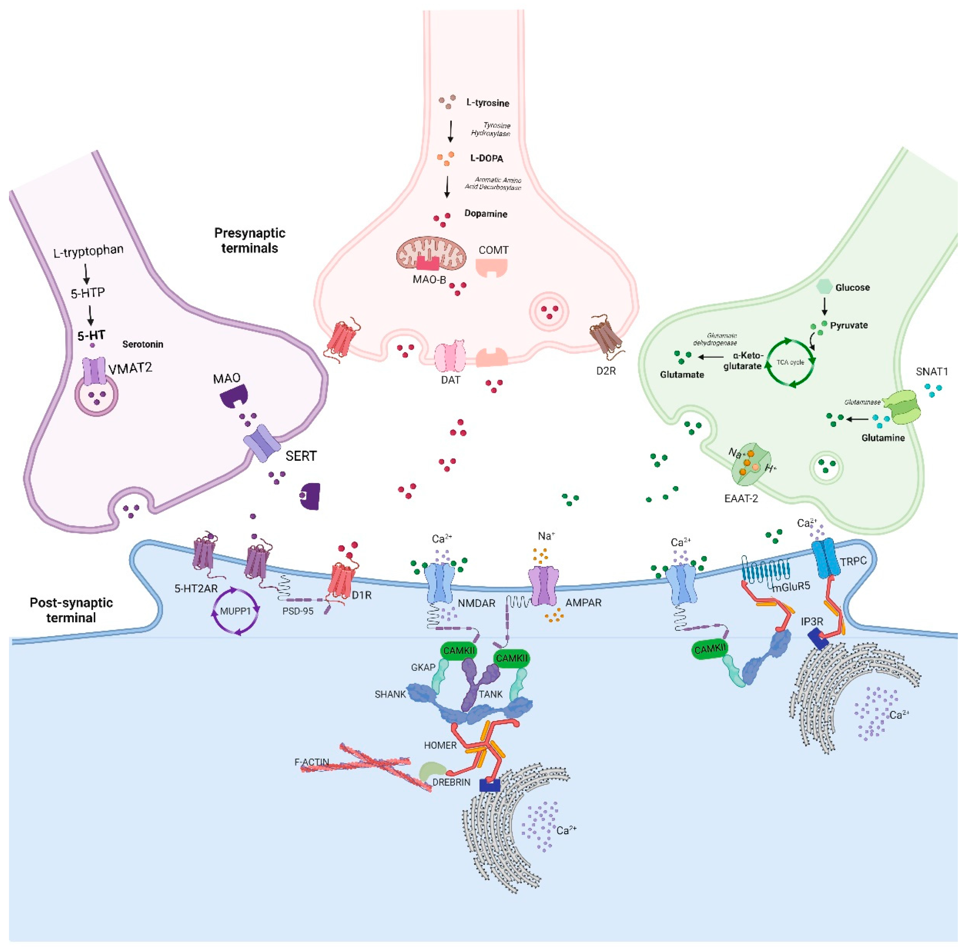 Biomedicines 10 03183 g003