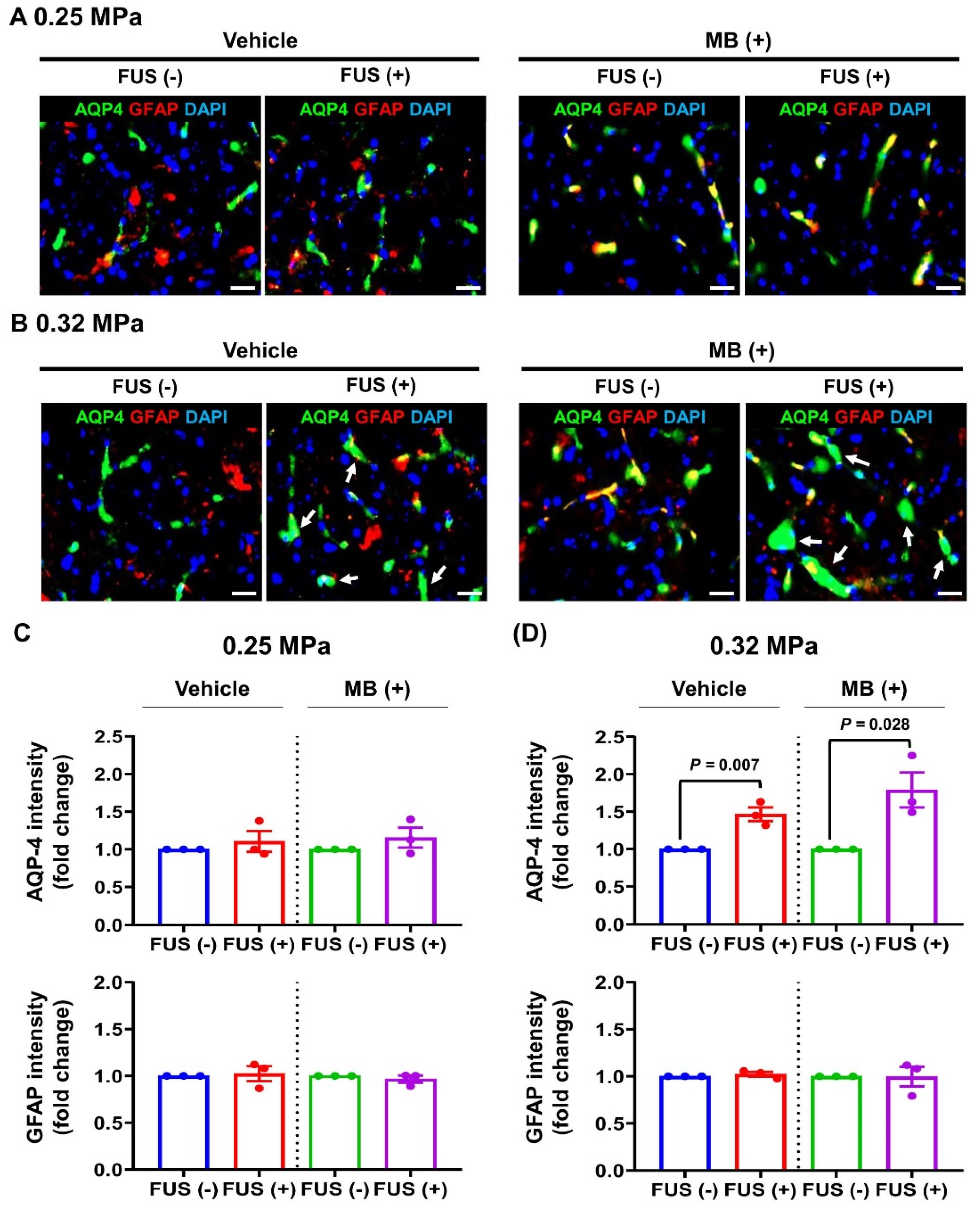 Biomedicines 10 03191 g005 Biomedicines 10 03191 g005