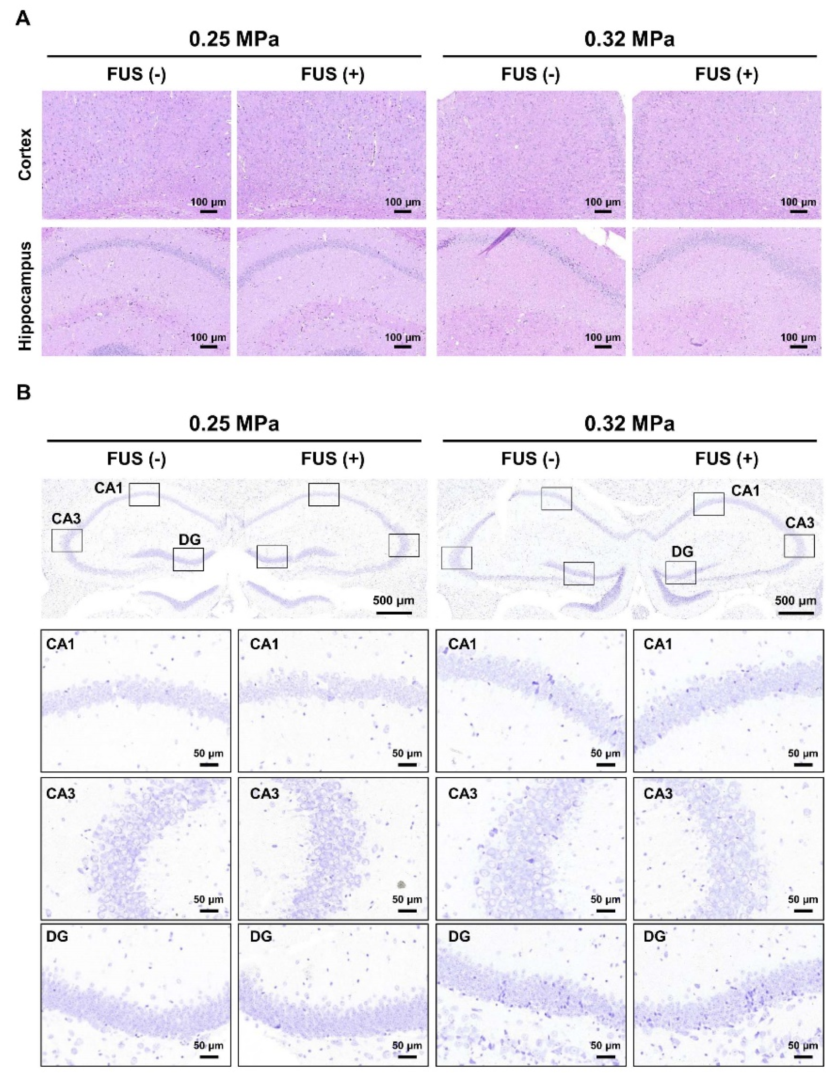 Biomedicines 10 03191 g007 Biomedicines 10 03191 g007