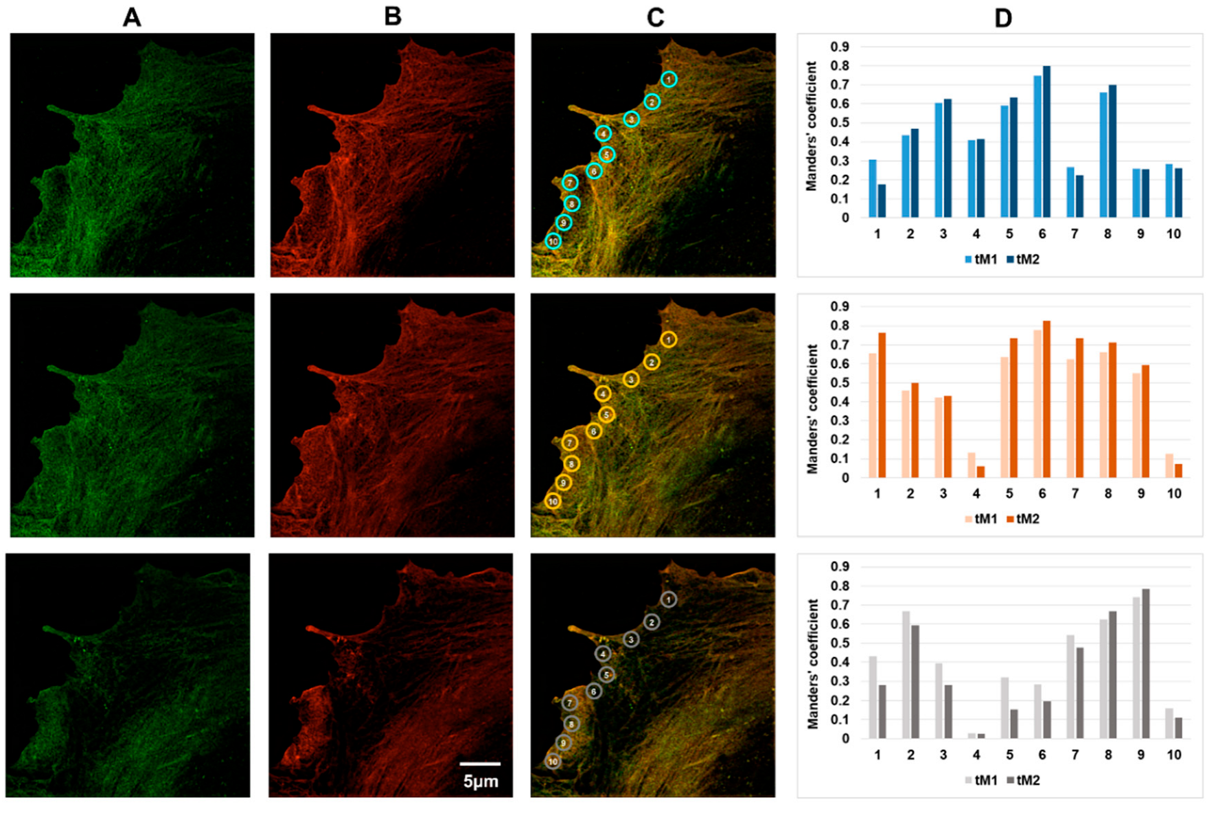 Biomedicines 10 03194 g003 Biomedicines 10 03194 g003