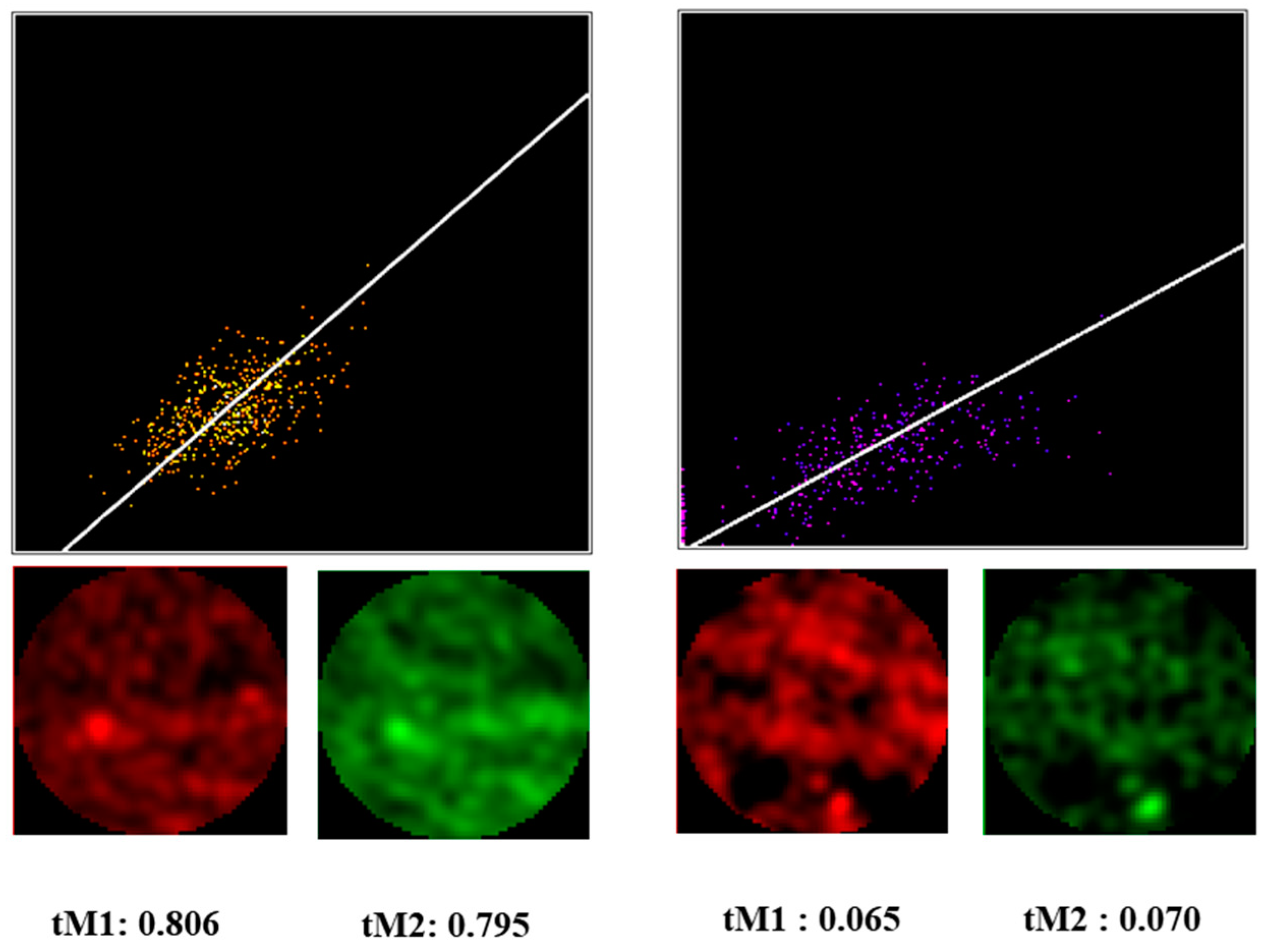 Biomedicines 10 03194 g007 Biomedicines 10 03194 g007