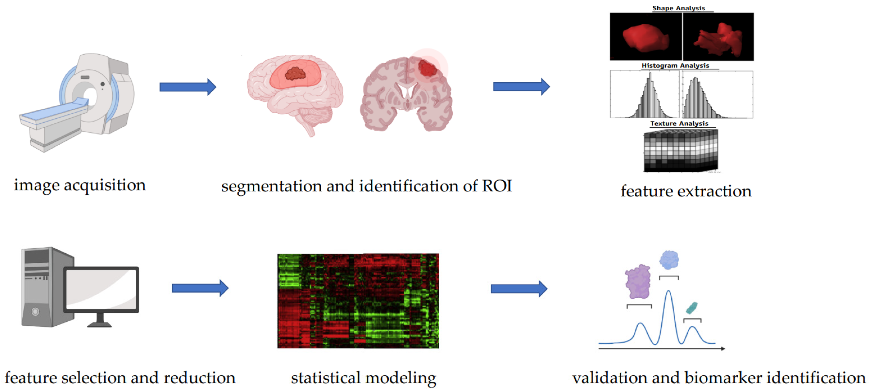 Biomedicines 10 03205 g001
