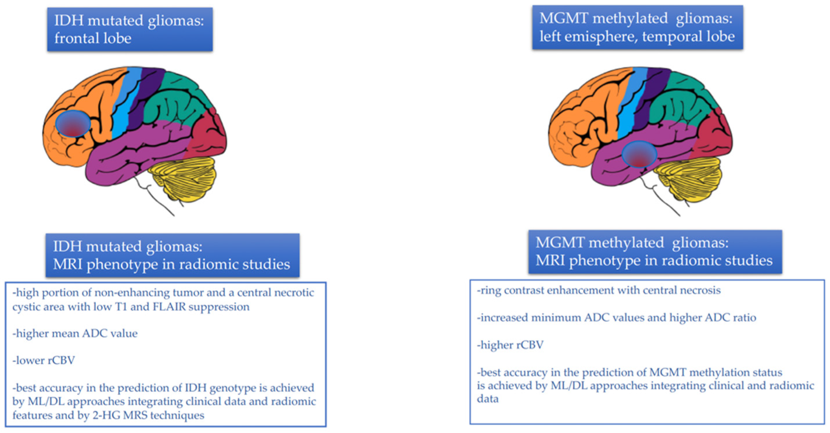Biomedicines 10 03205 g003