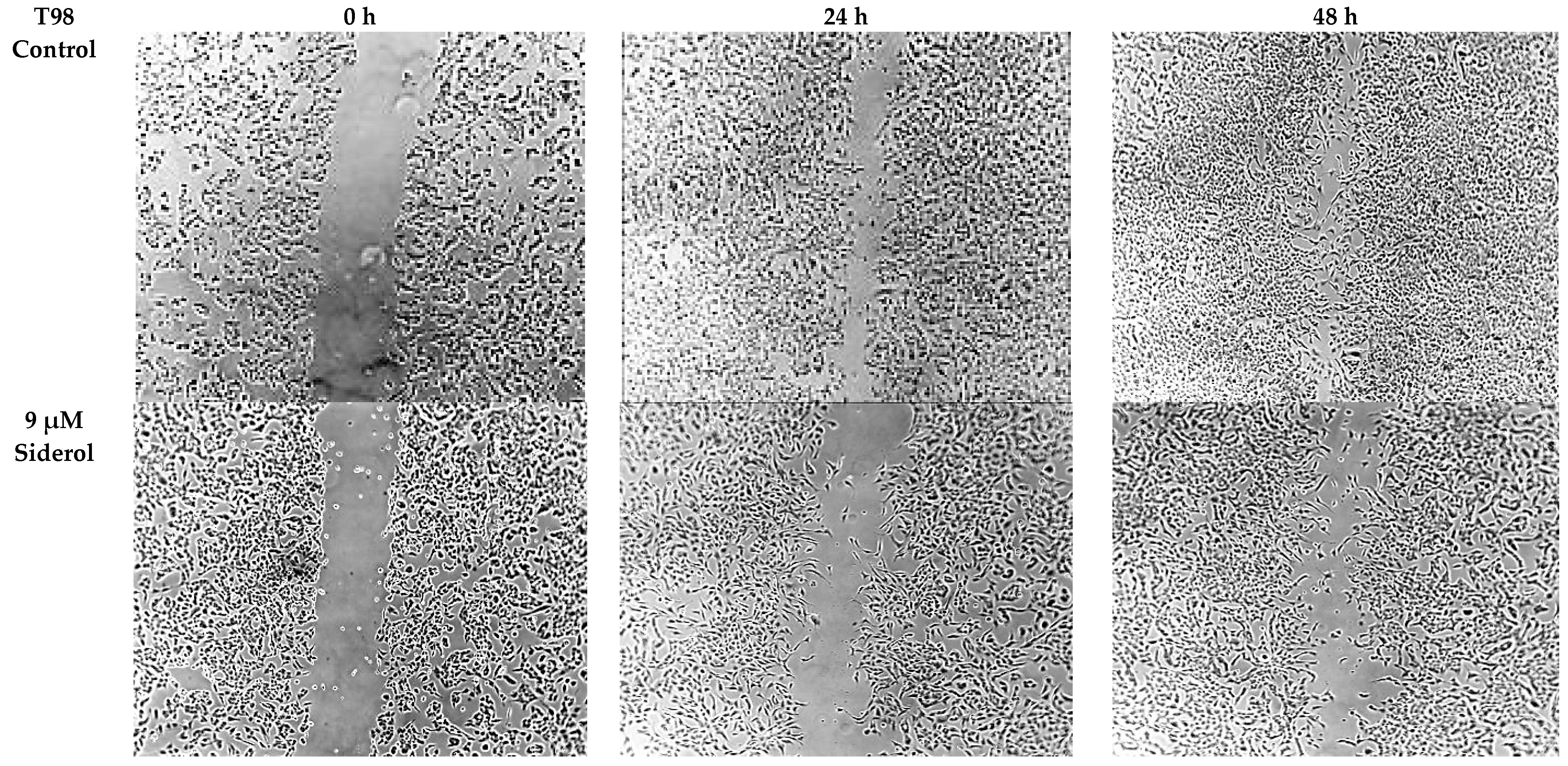 Biomedicines 10 03216 g008a Biomedicines 10 03216 g008a
