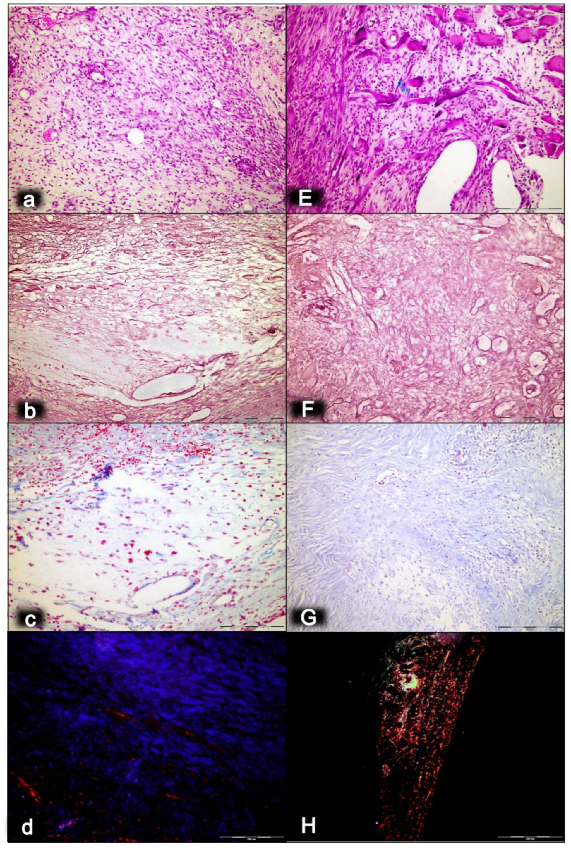 Biomedicines 10 03221 g001 Biomedicines 10 03221 g001