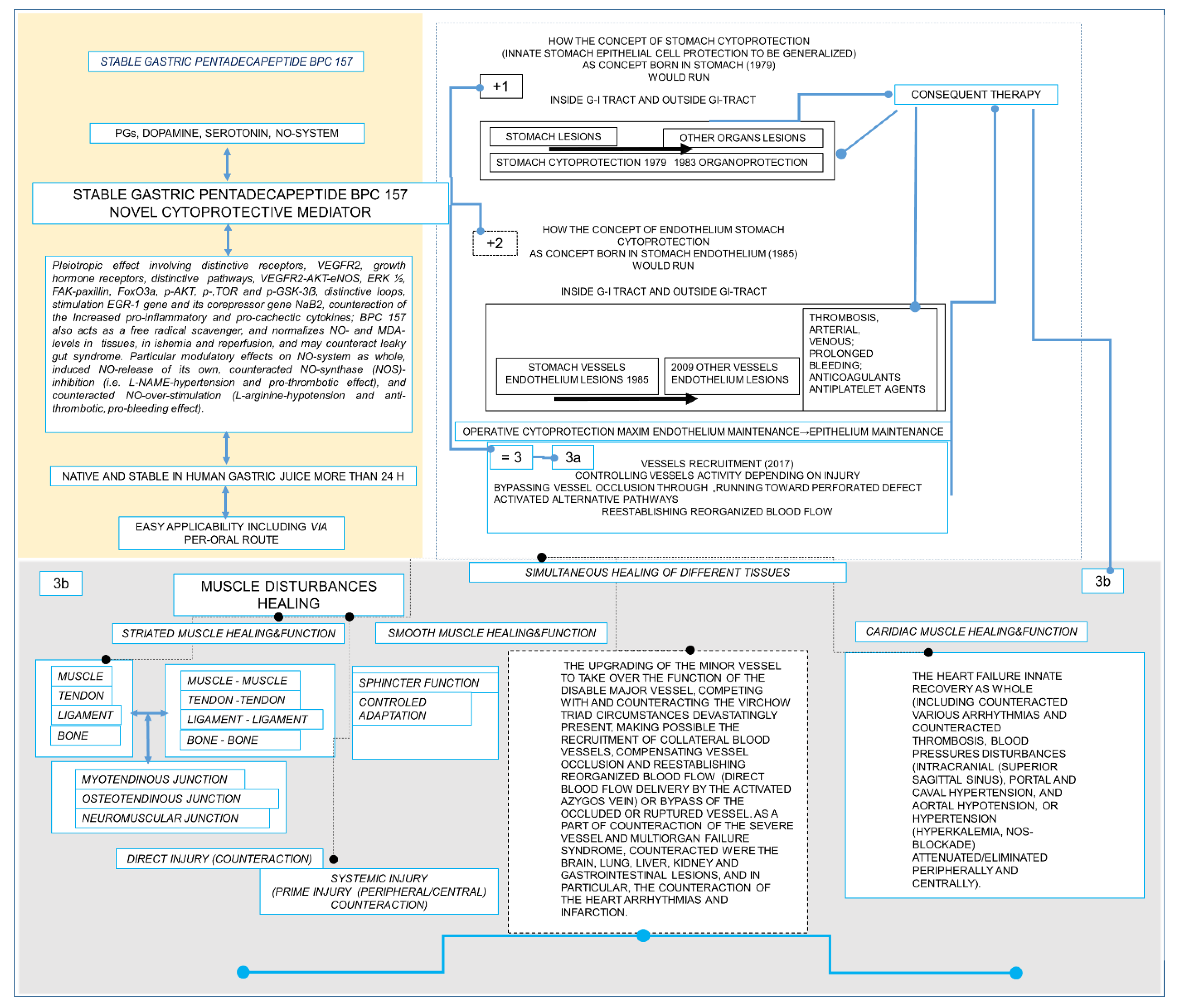 Biomedicines 10 03221 g011 Biomedicines 10 03221 g011