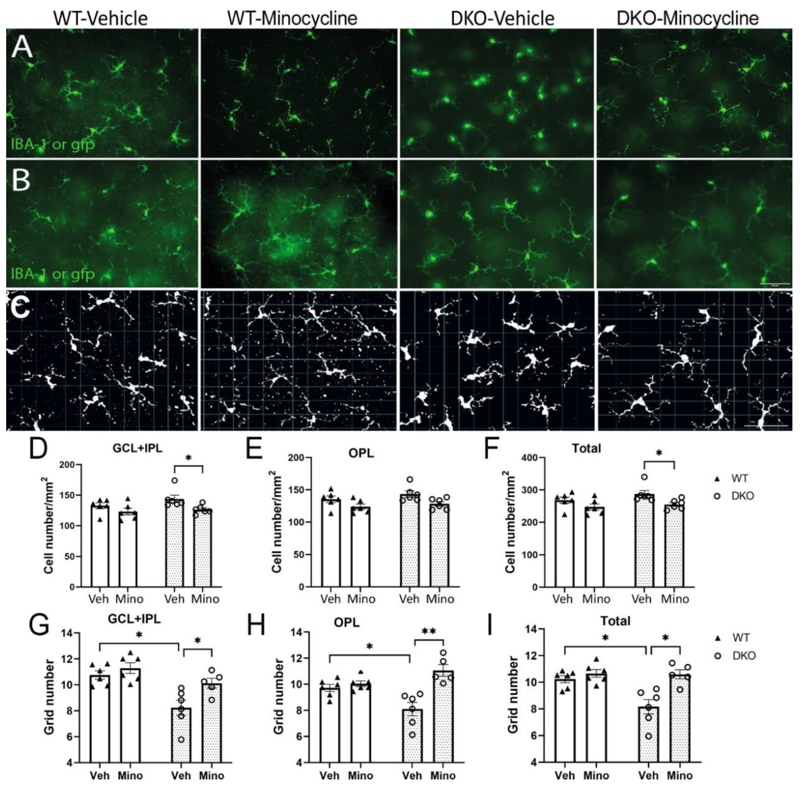 Biomedicines 10 03222 g005