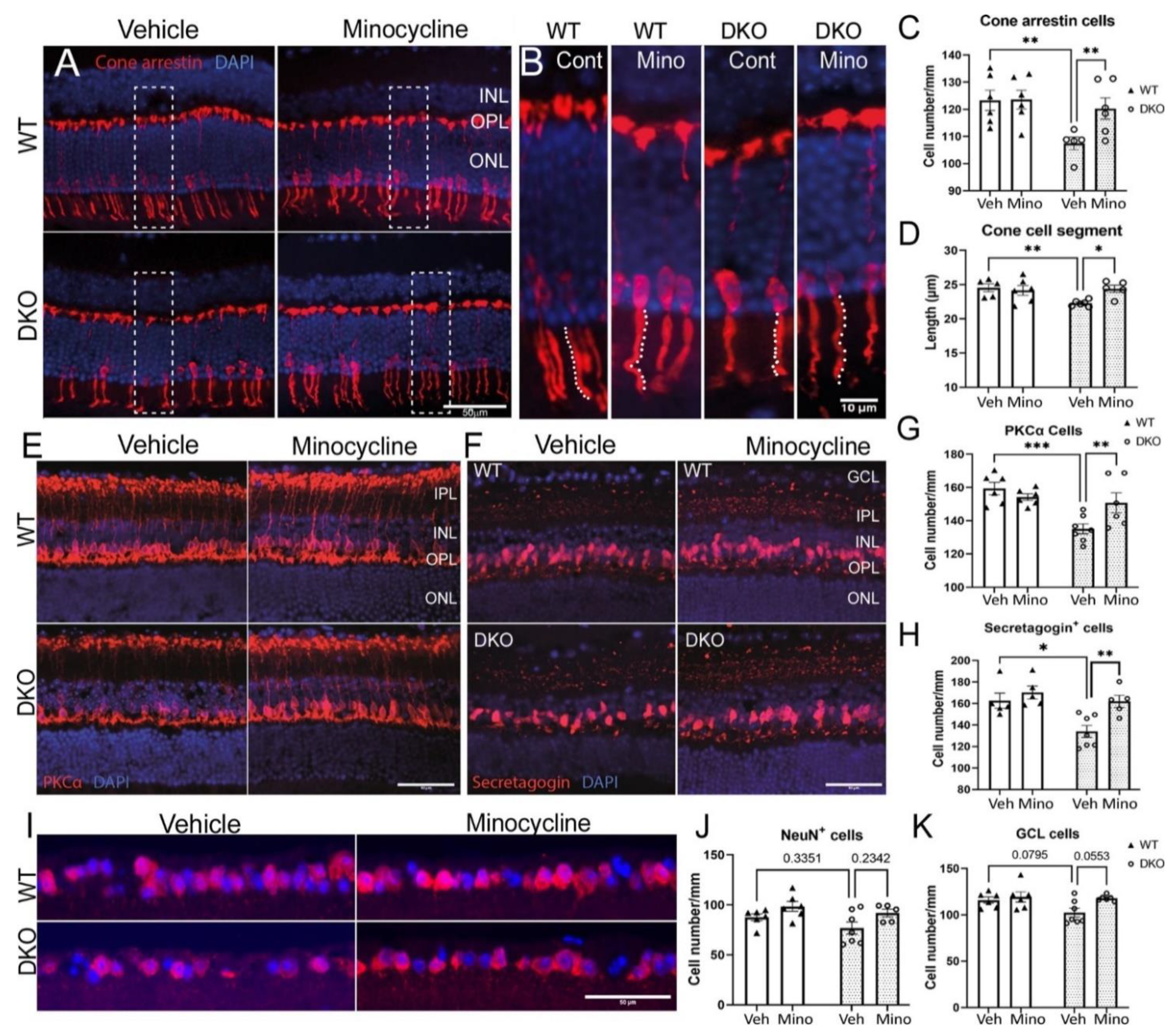 Biomedicines 10 03222 g007