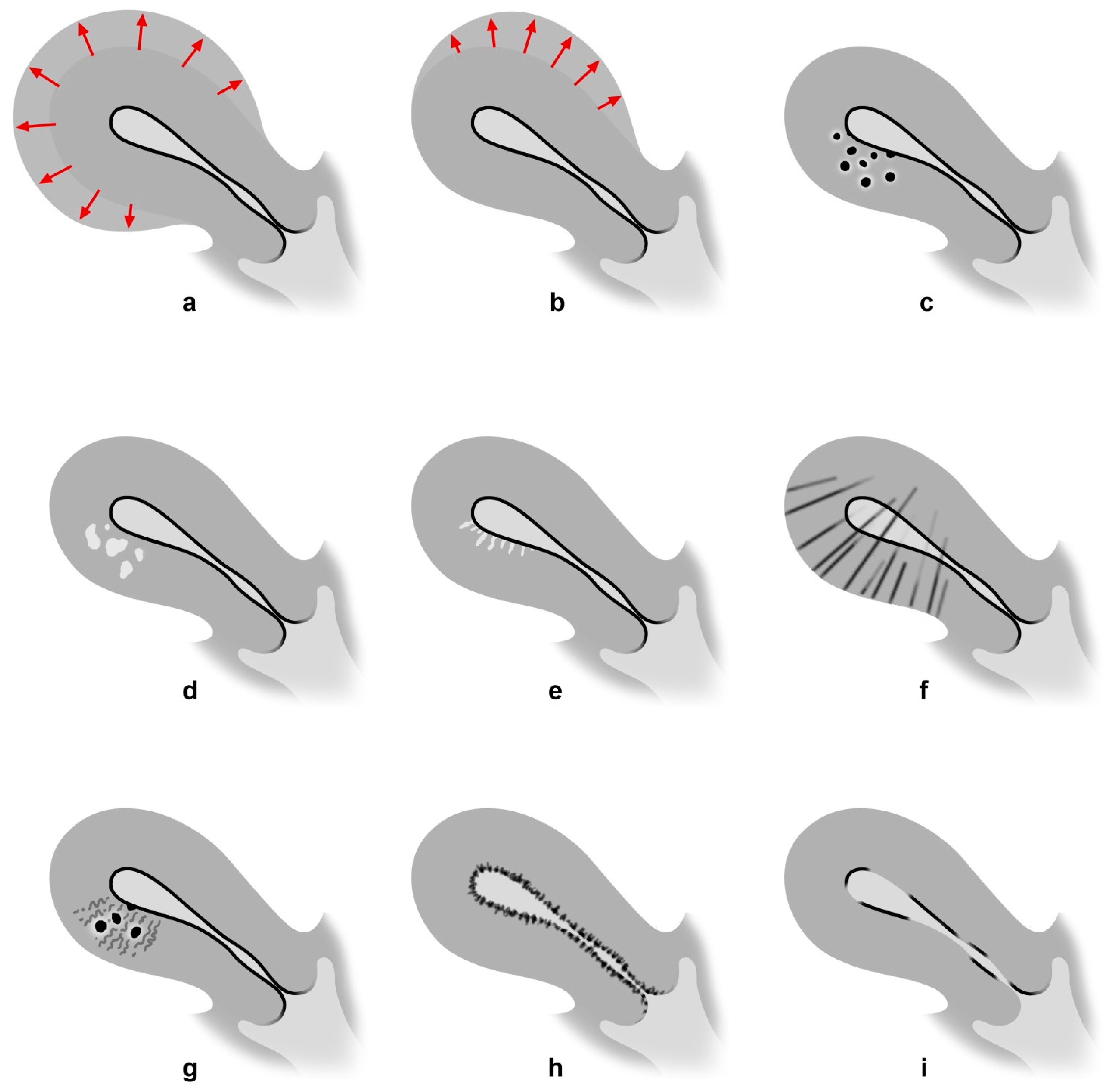 Biomedicines 10 03245 g001 Biomedicines 10 03245 g001