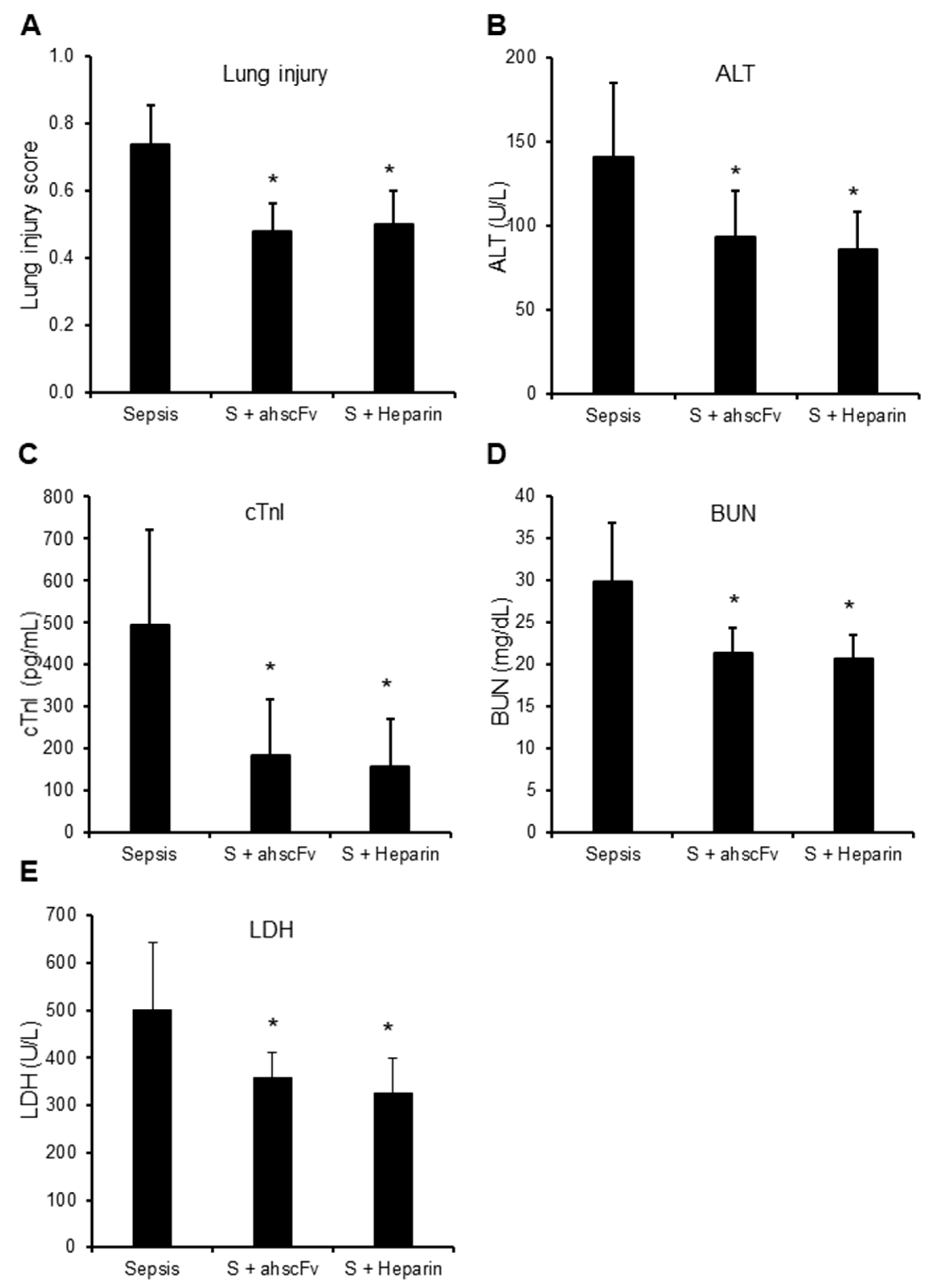 Biomedicines 10 03256 g001