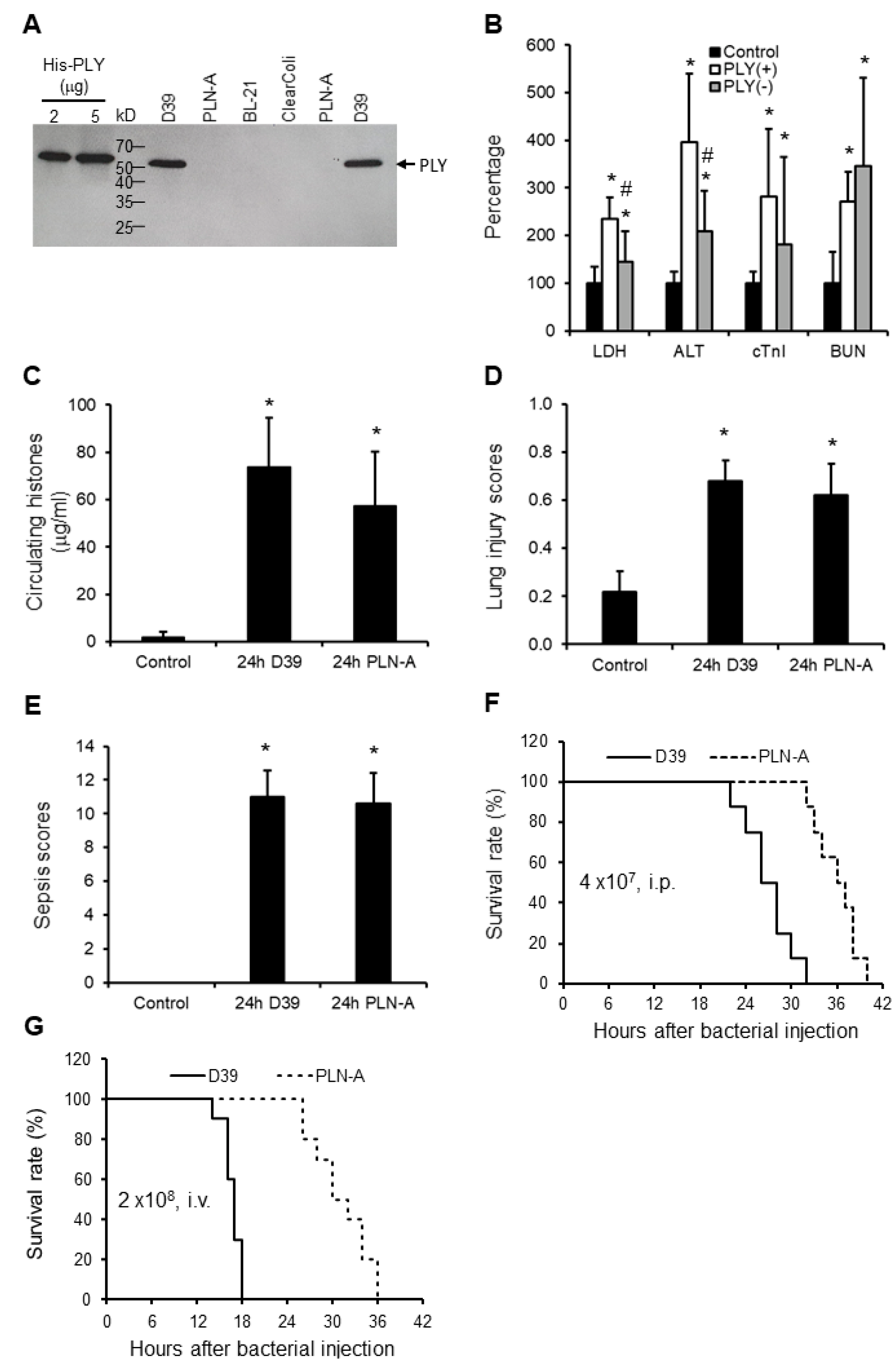 Biomedicines 10 03256 g003