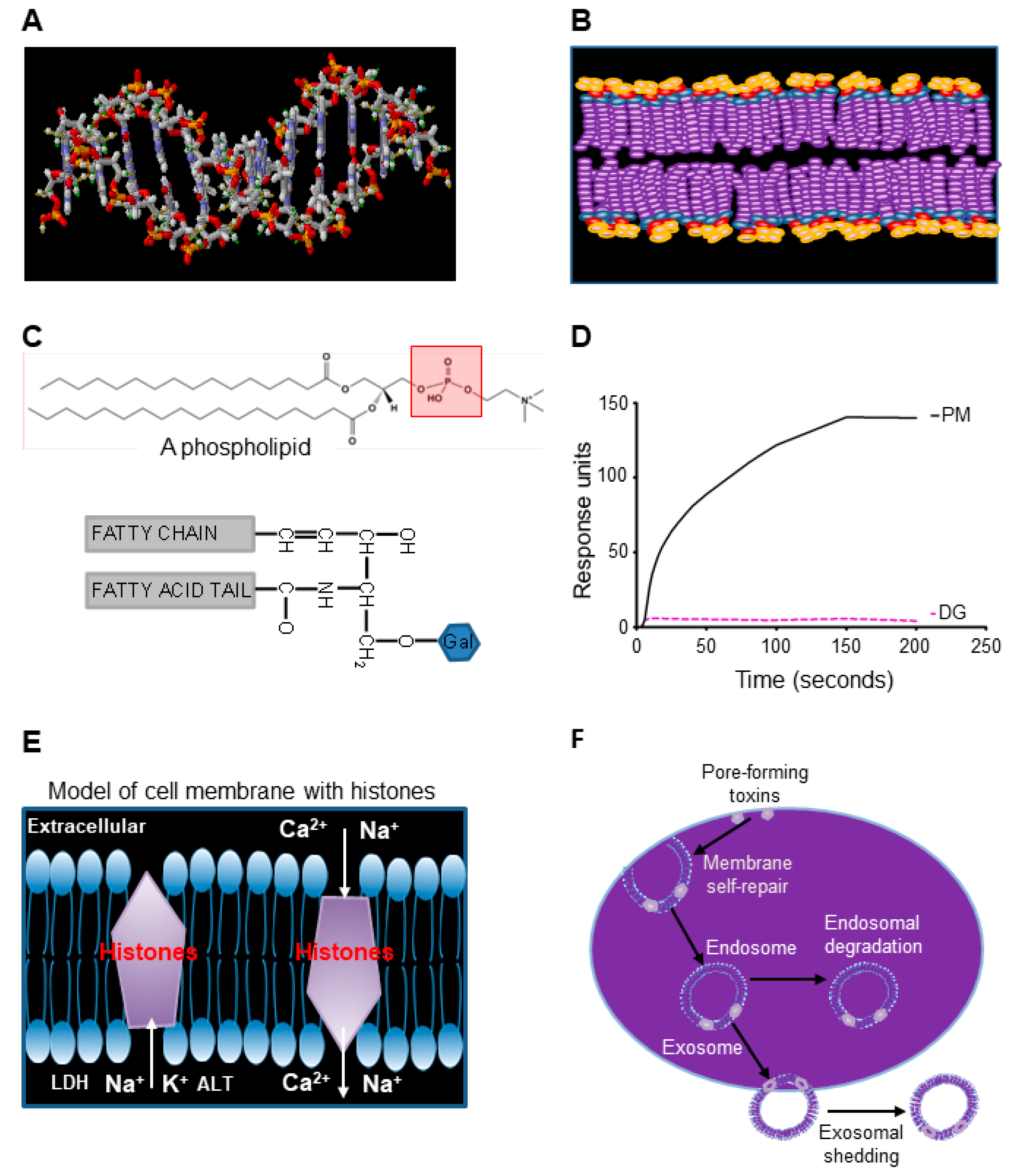 Biomedicines 10 03256 g005
