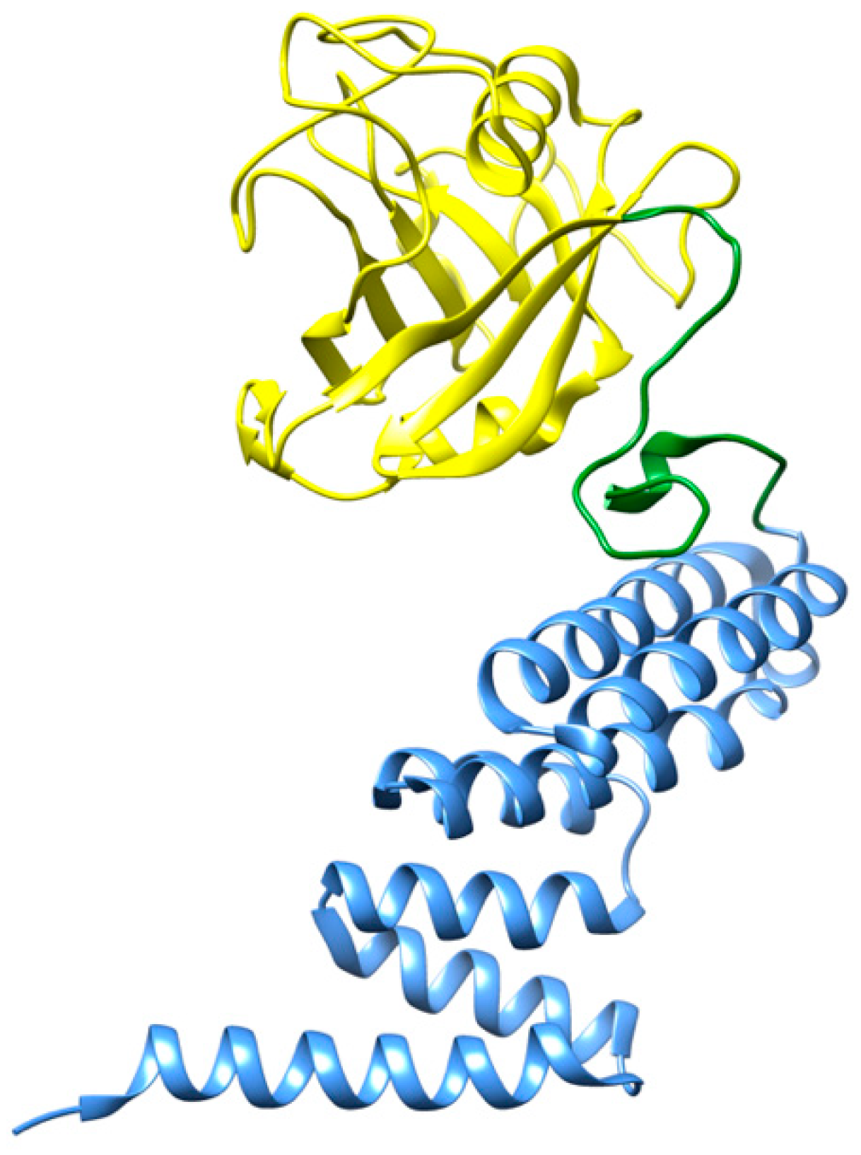 Biomedicines 10 03276 g004