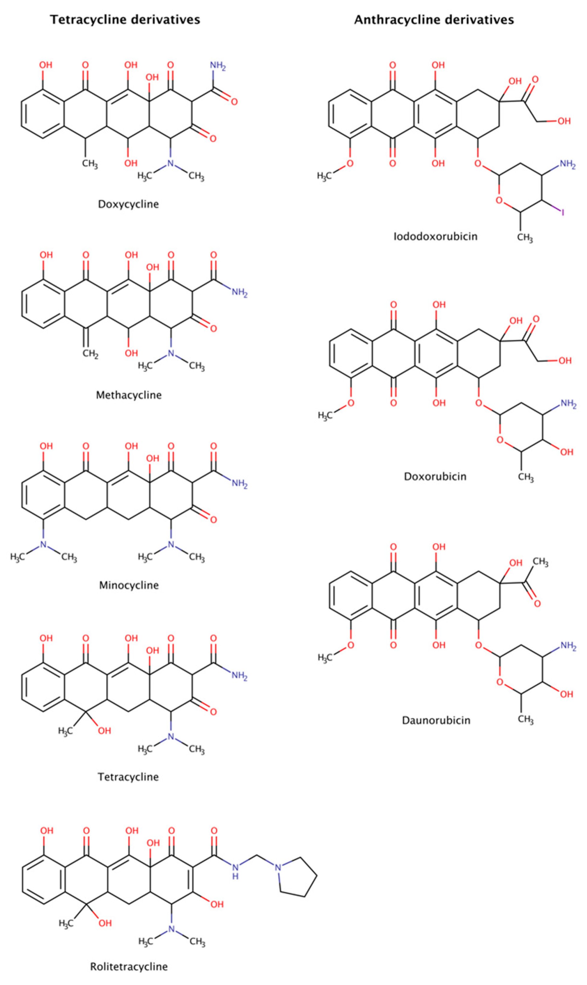 Biomedicines 10 03276 g010