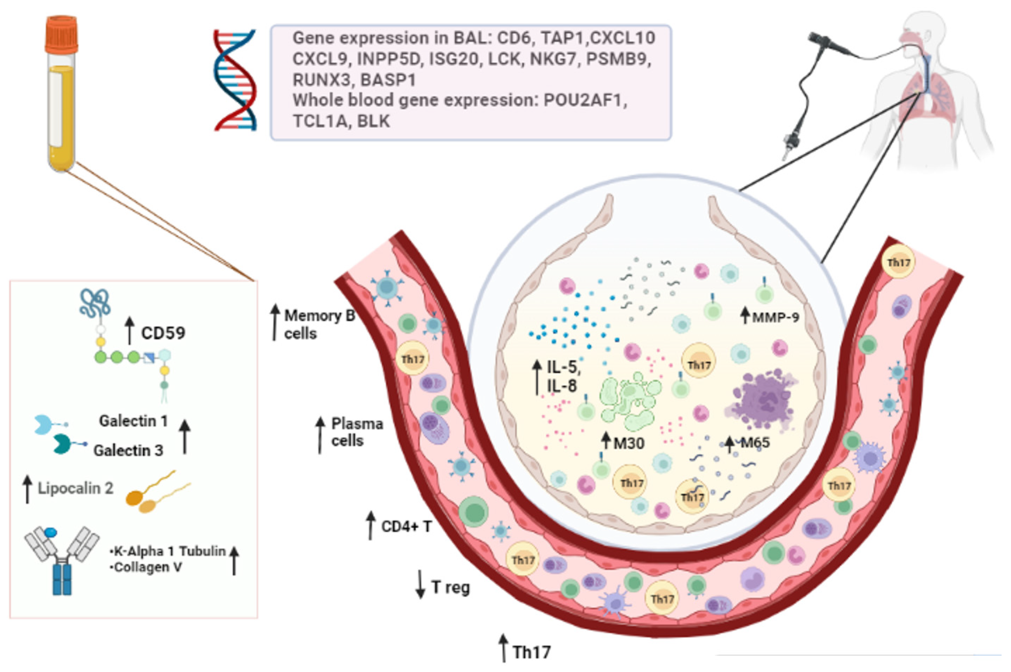 Biomedicines 10 03277 g002 Biomedicines 10 03277 g002