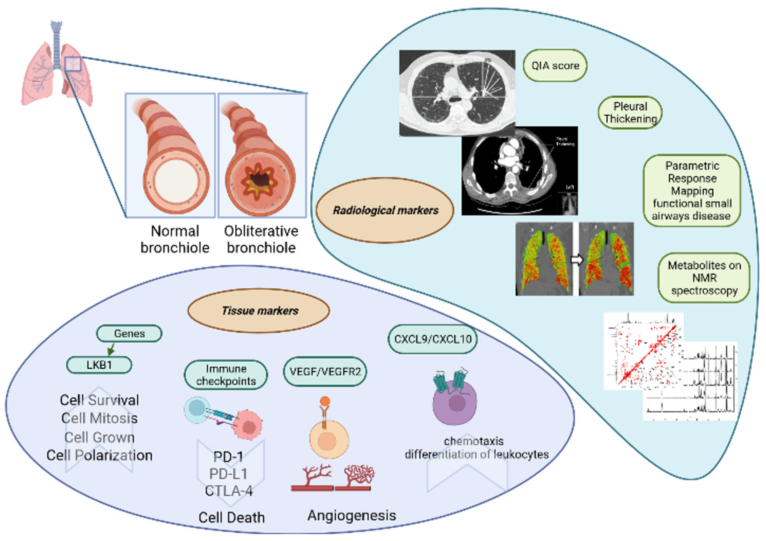 Biomedicines 10 03277 g003 Biomedicines 10 03277 g003