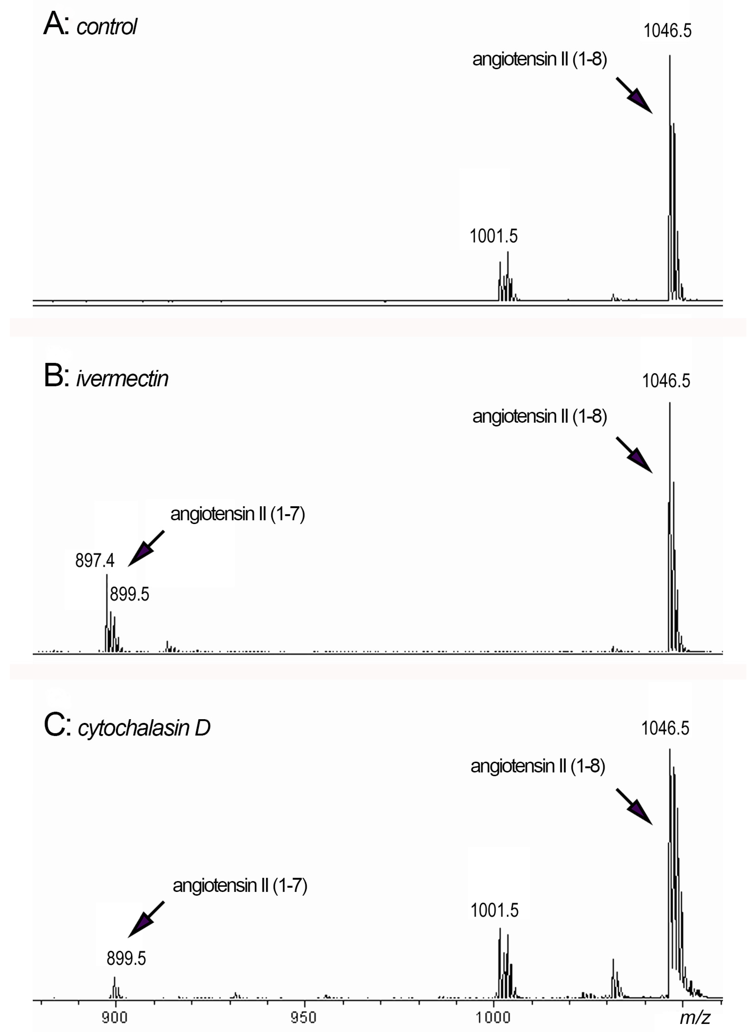 Biomedicines 10 03284 g007