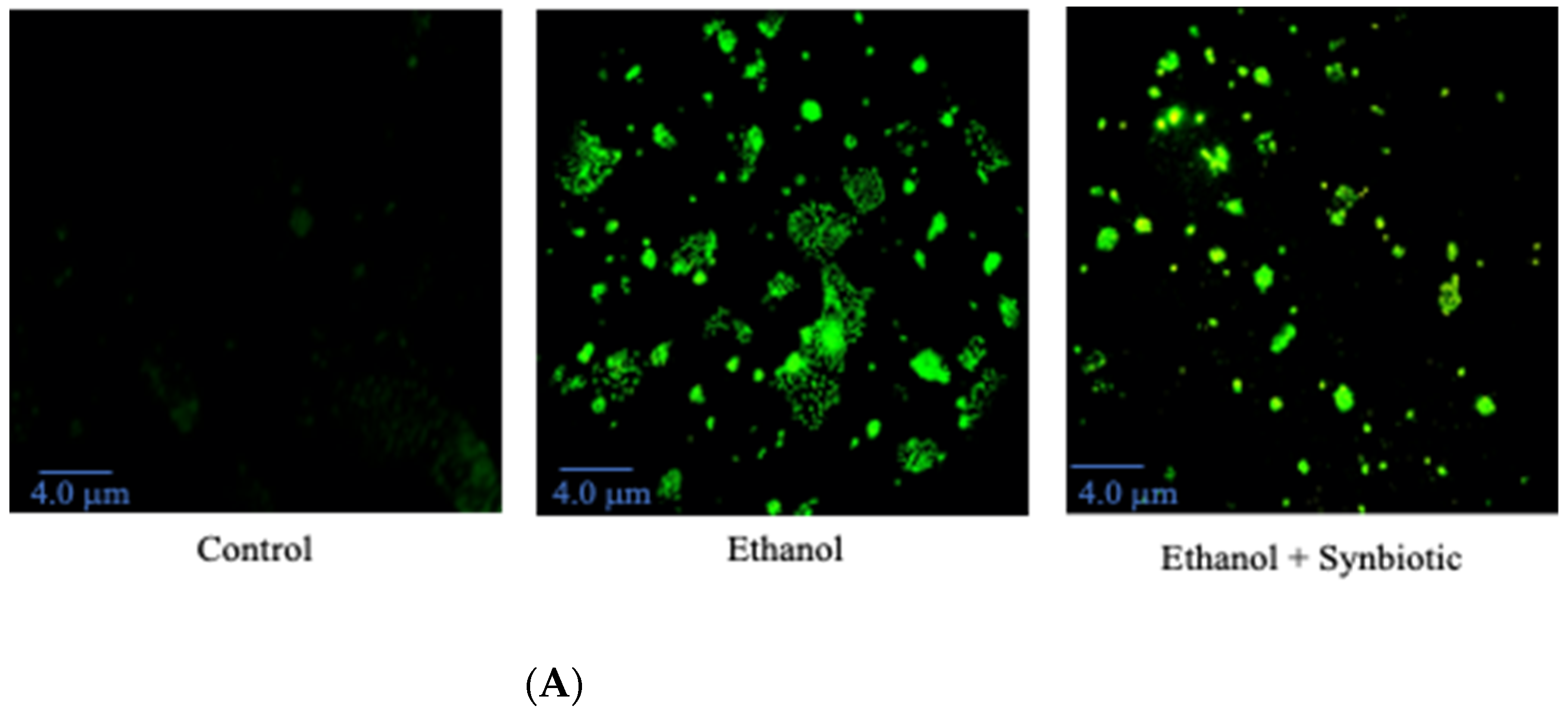 Biomedicines 10 03285 g008a Biomedicines 10 03285 g008a