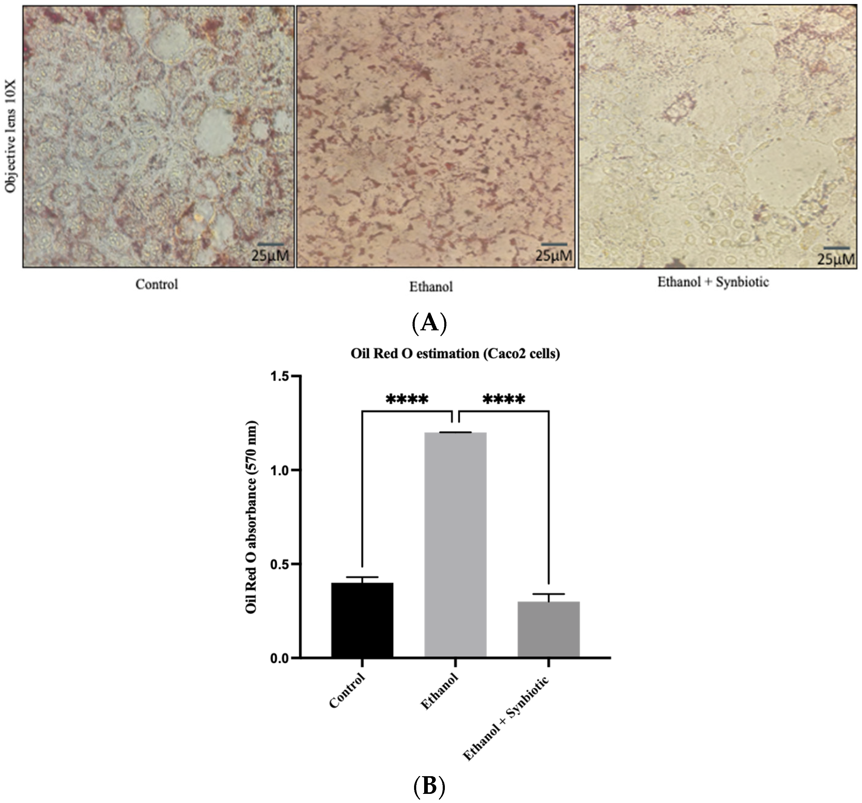 Biomedicines 10 03285 g014 Biomedicines 10 03285 g014