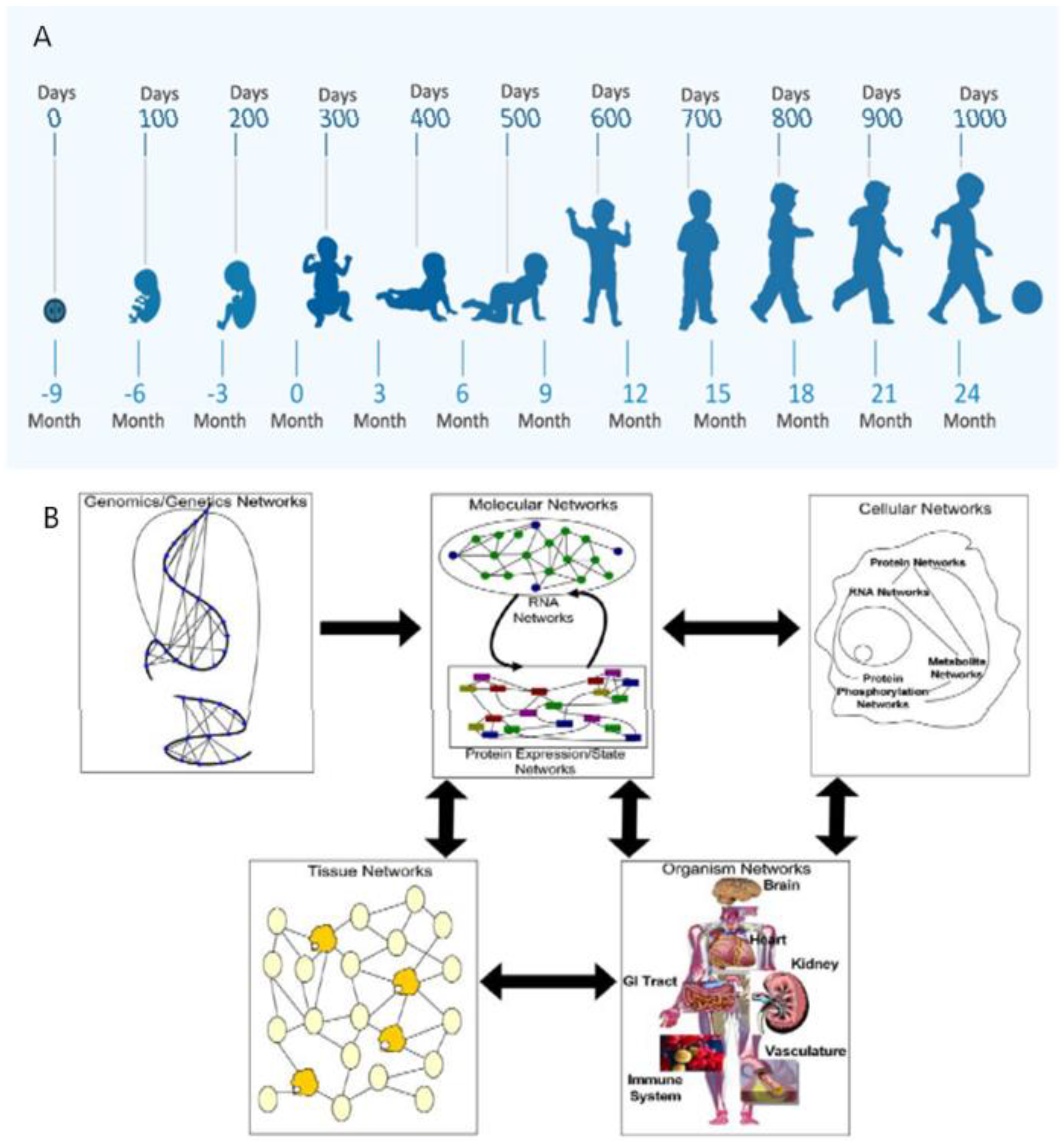 Biomedicines 10 03290 g001 Biomedicines 10 03290 g001