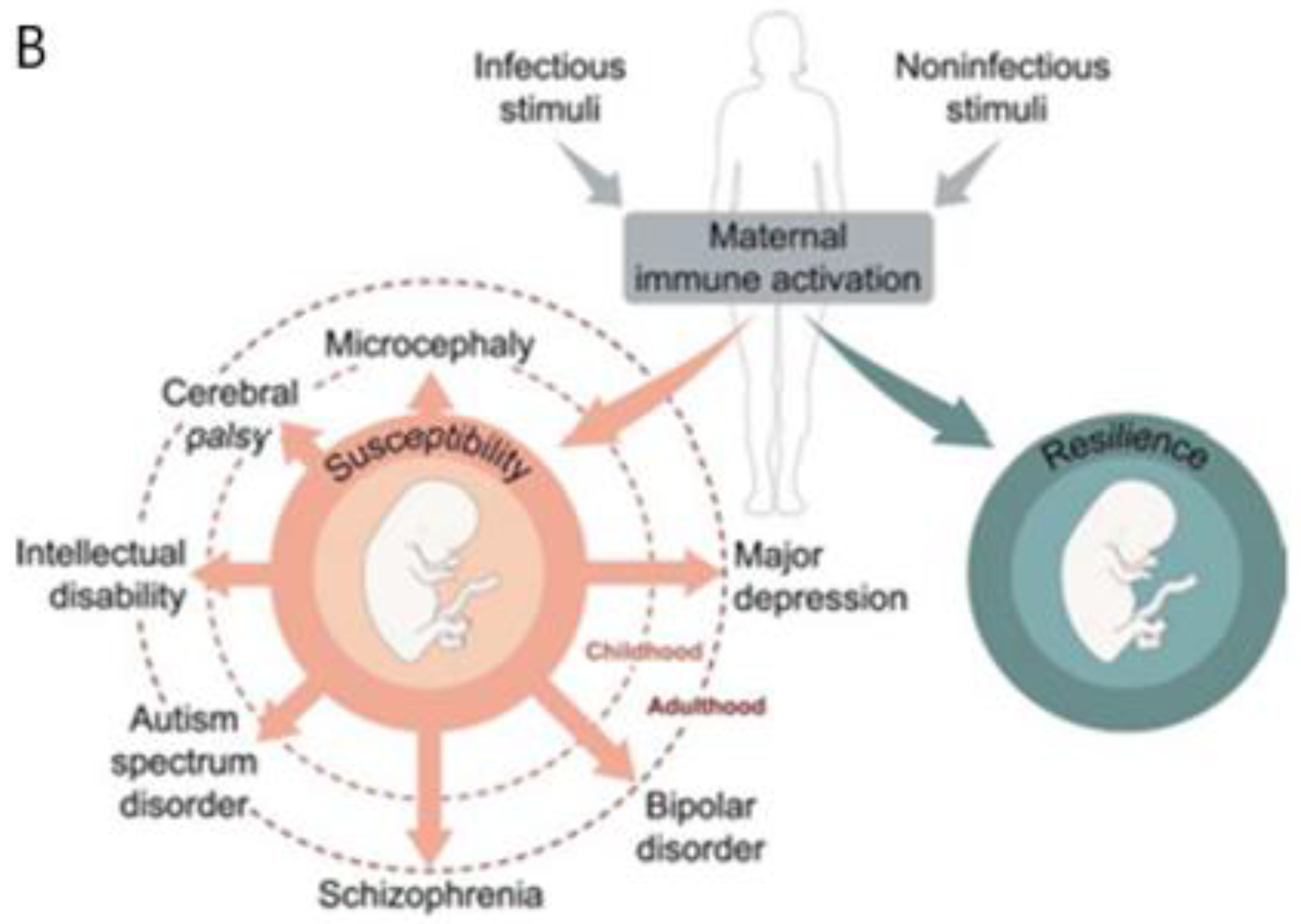 Biomedicines 10 03290 g002b Biomedicines 10 03290 g002b