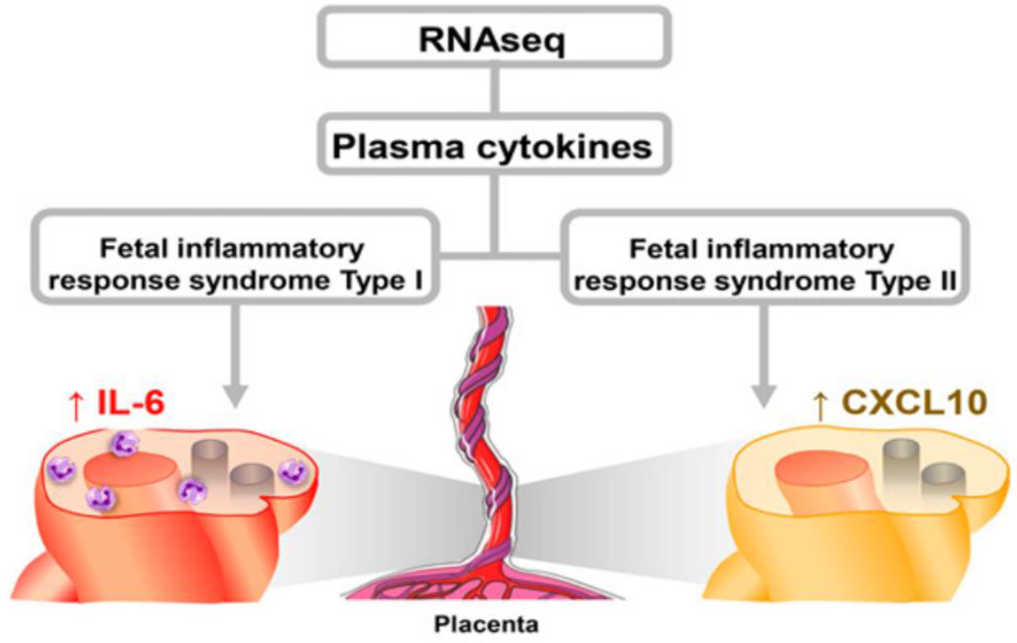 Biomedicines 10 03290 g004 Biomedicines 10 03290 g004