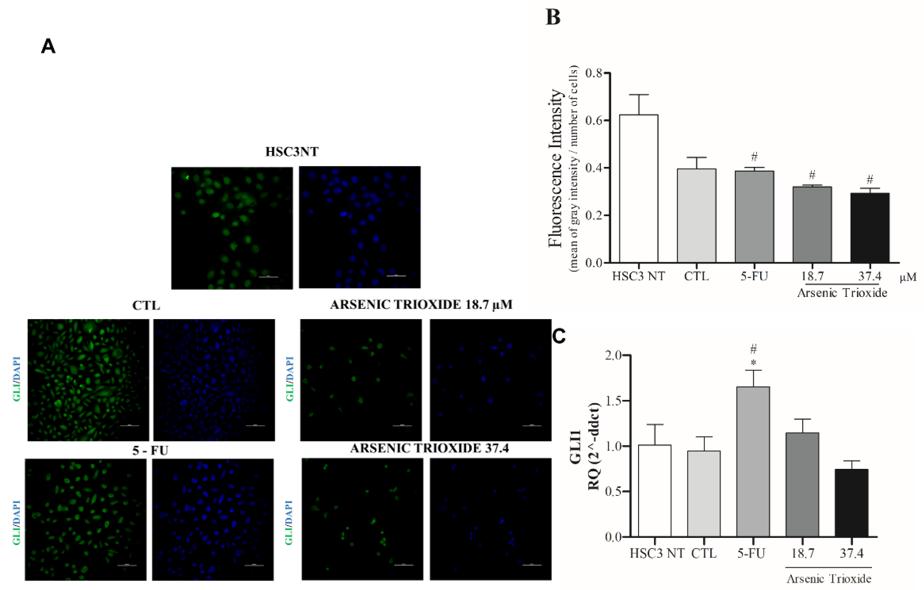 Biomedicines 10 03293 g006 Biomedicines 10 03293 g006