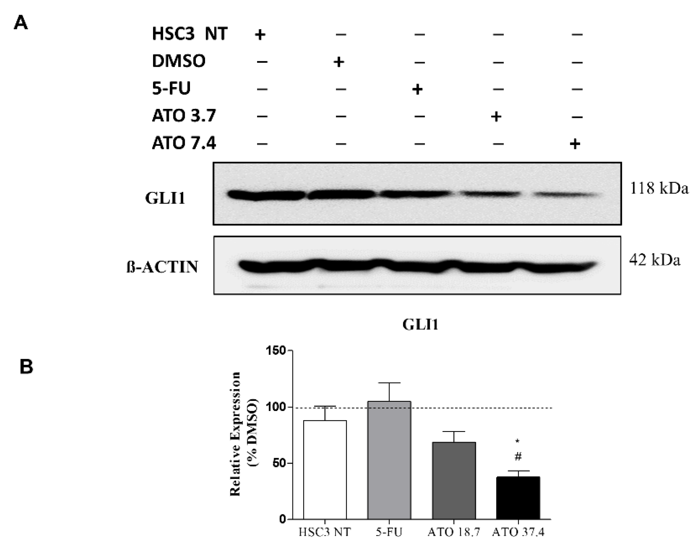 Biomedicines 10 03293 g007 Biomedicines 10 03293 g007