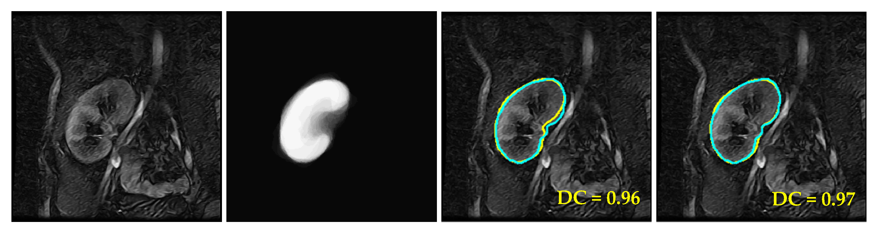 Biomedicines 11 00006 g007a