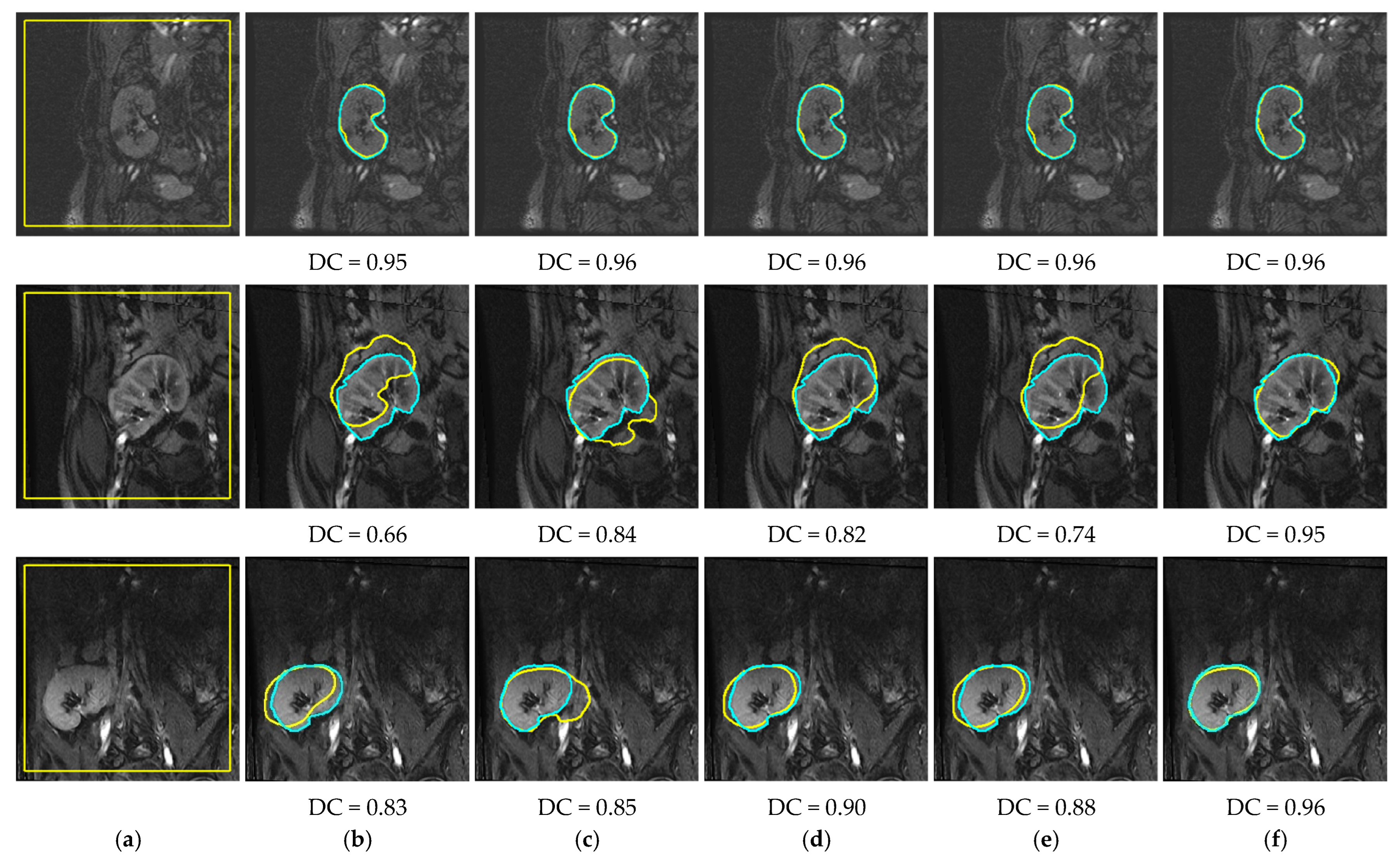 Biomedicines 11 00006 g008b