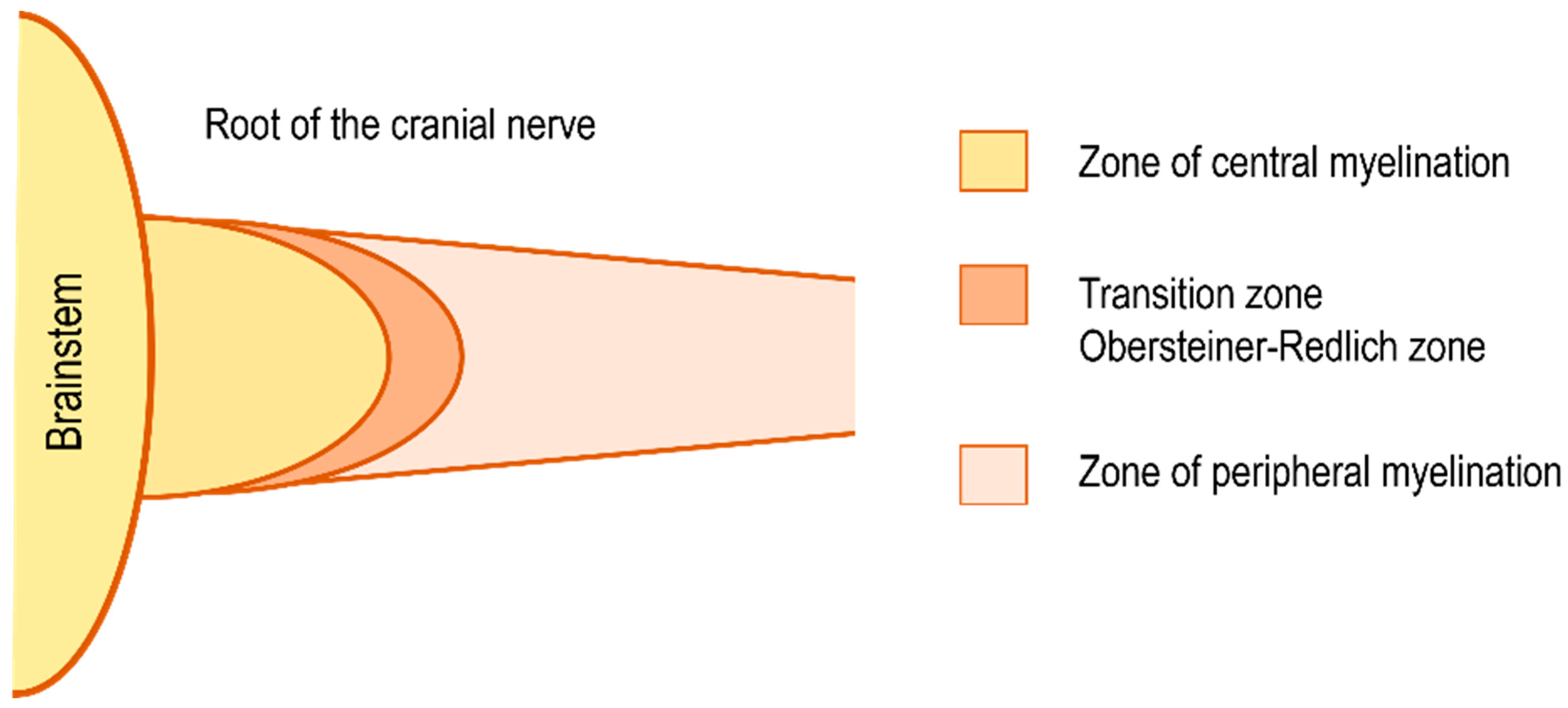 Biomedicines 11 00032 g001 Biomedicines 11 00032 g001
