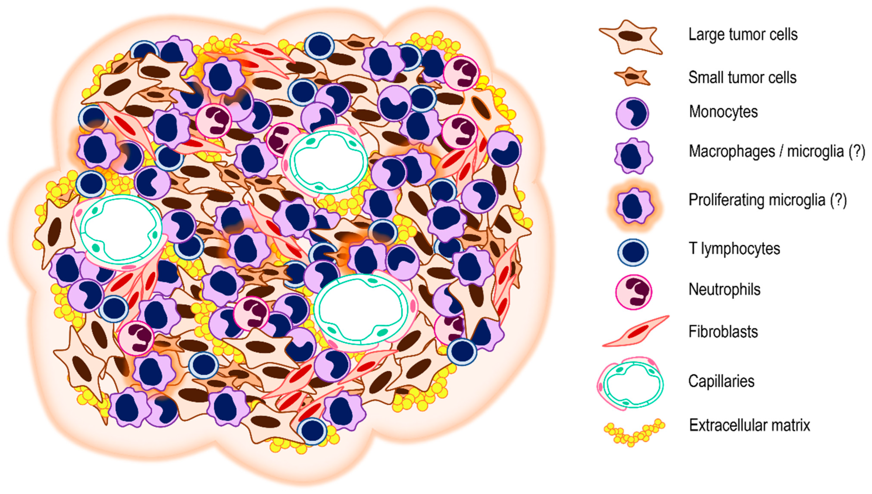 Biomedicines 11 00032 g003 Biomedicines 11 00032 g003