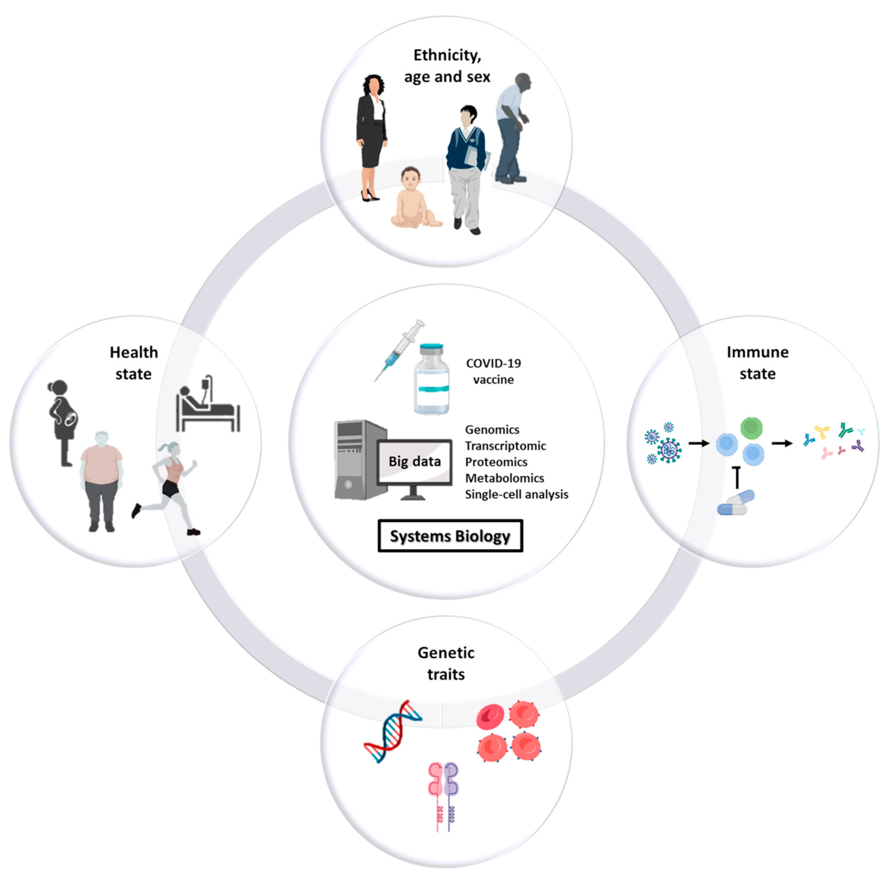 Biomedicines 11 00052 g001