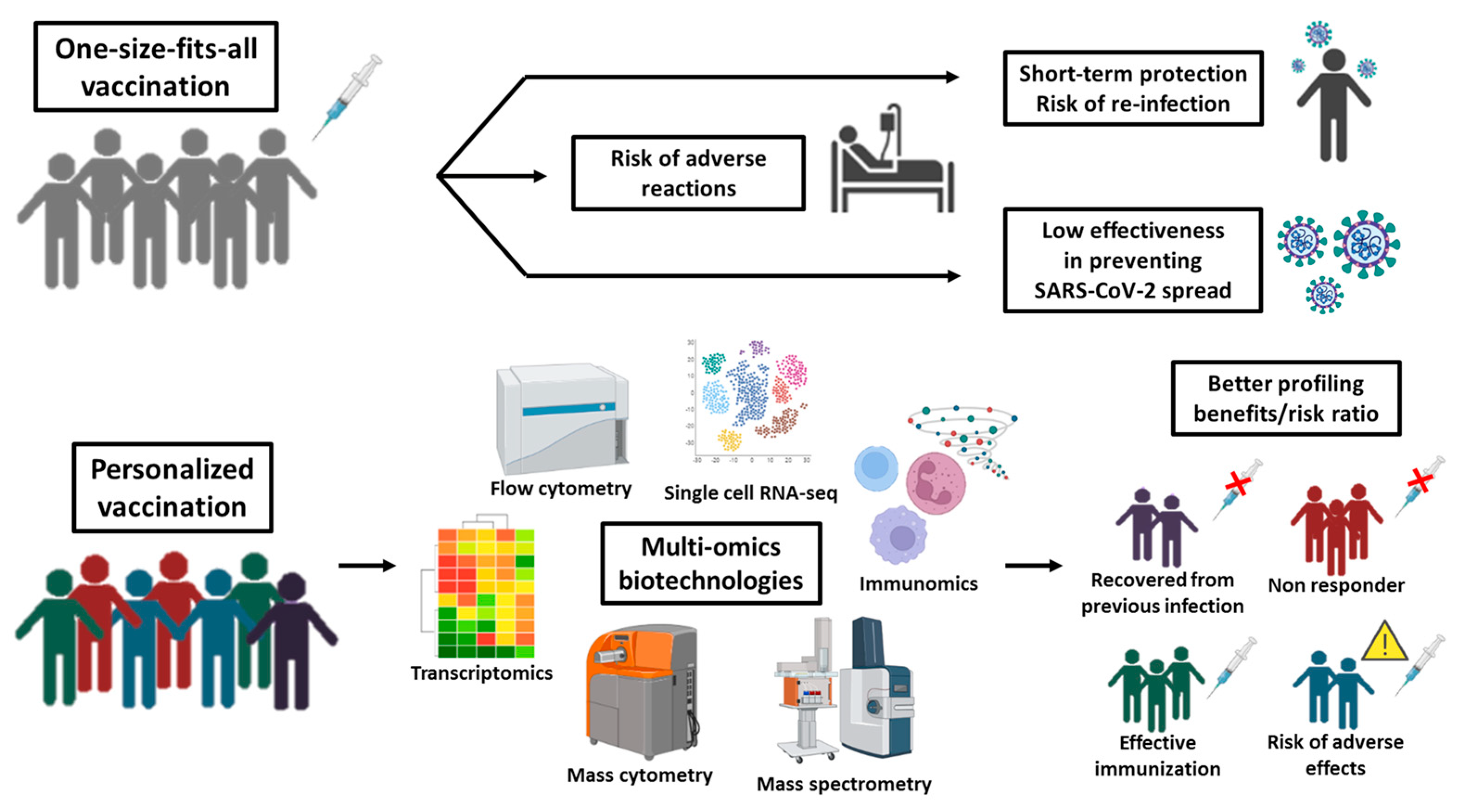 Biomedicines 11 00052 g002