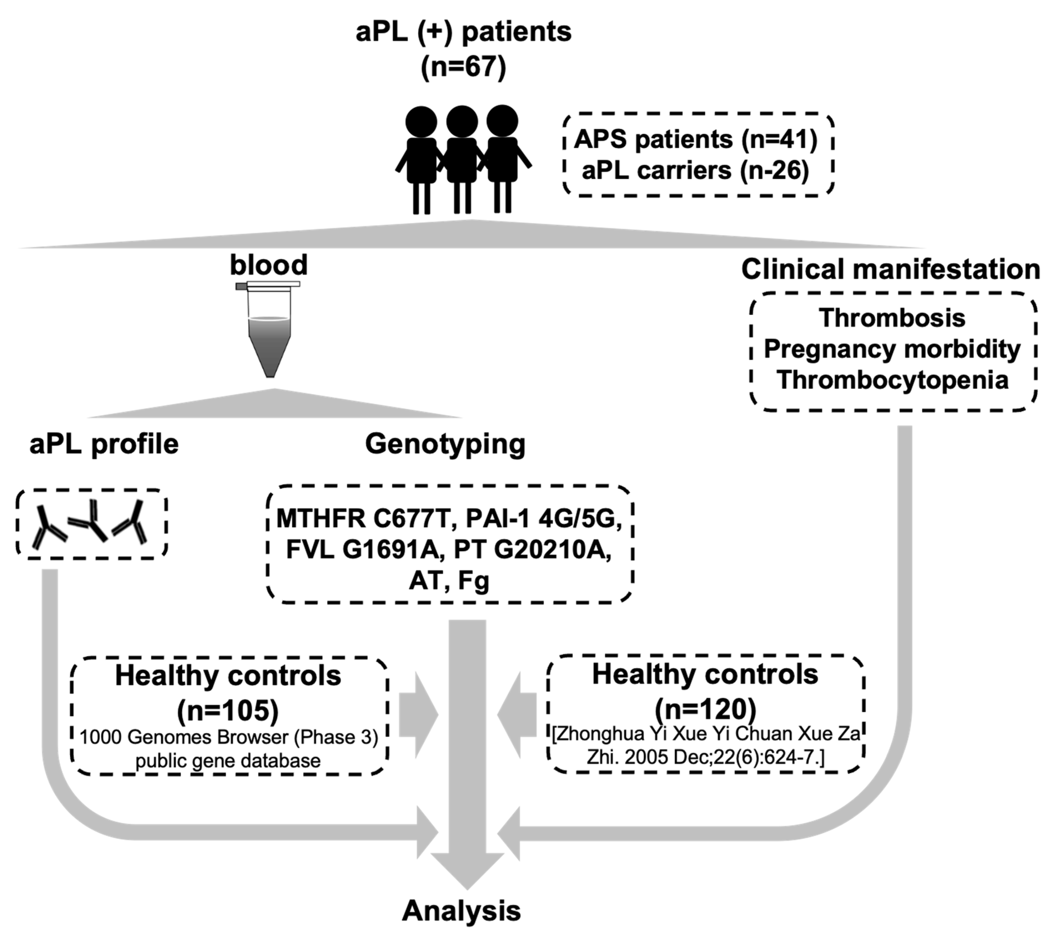 Biomedicines 11 00055 g001