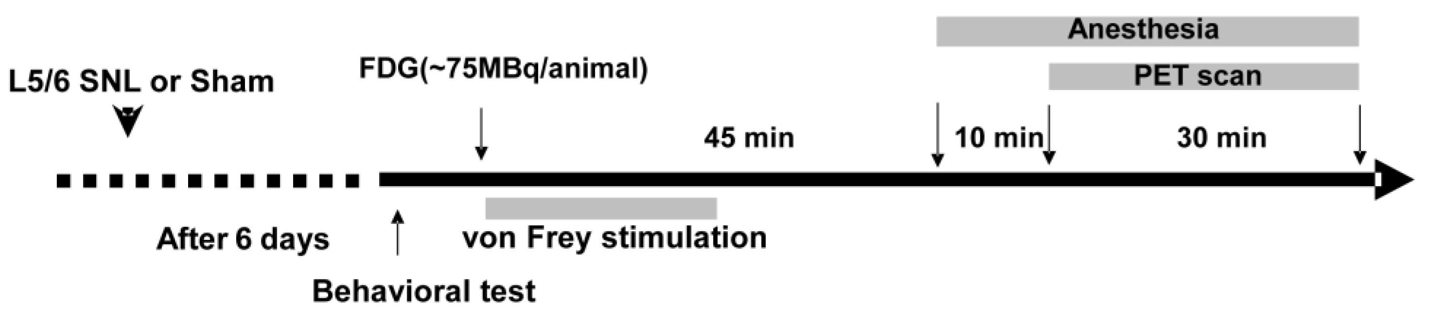 Biomedicines 11 00063 g001 Biomedicines 11 00063 g001