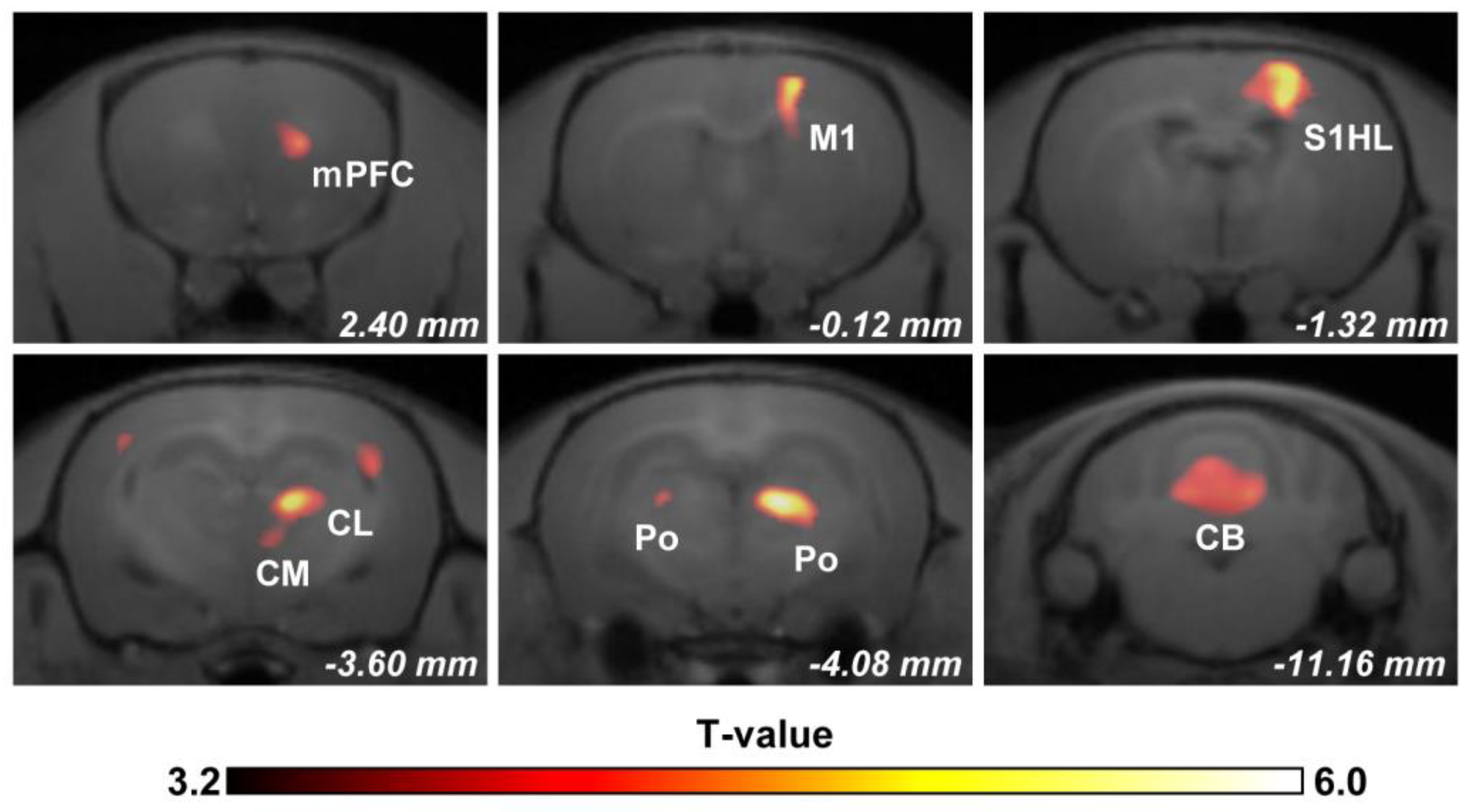 Biomedicines 11 00063 g003 Biomedicines 11 00063 g003