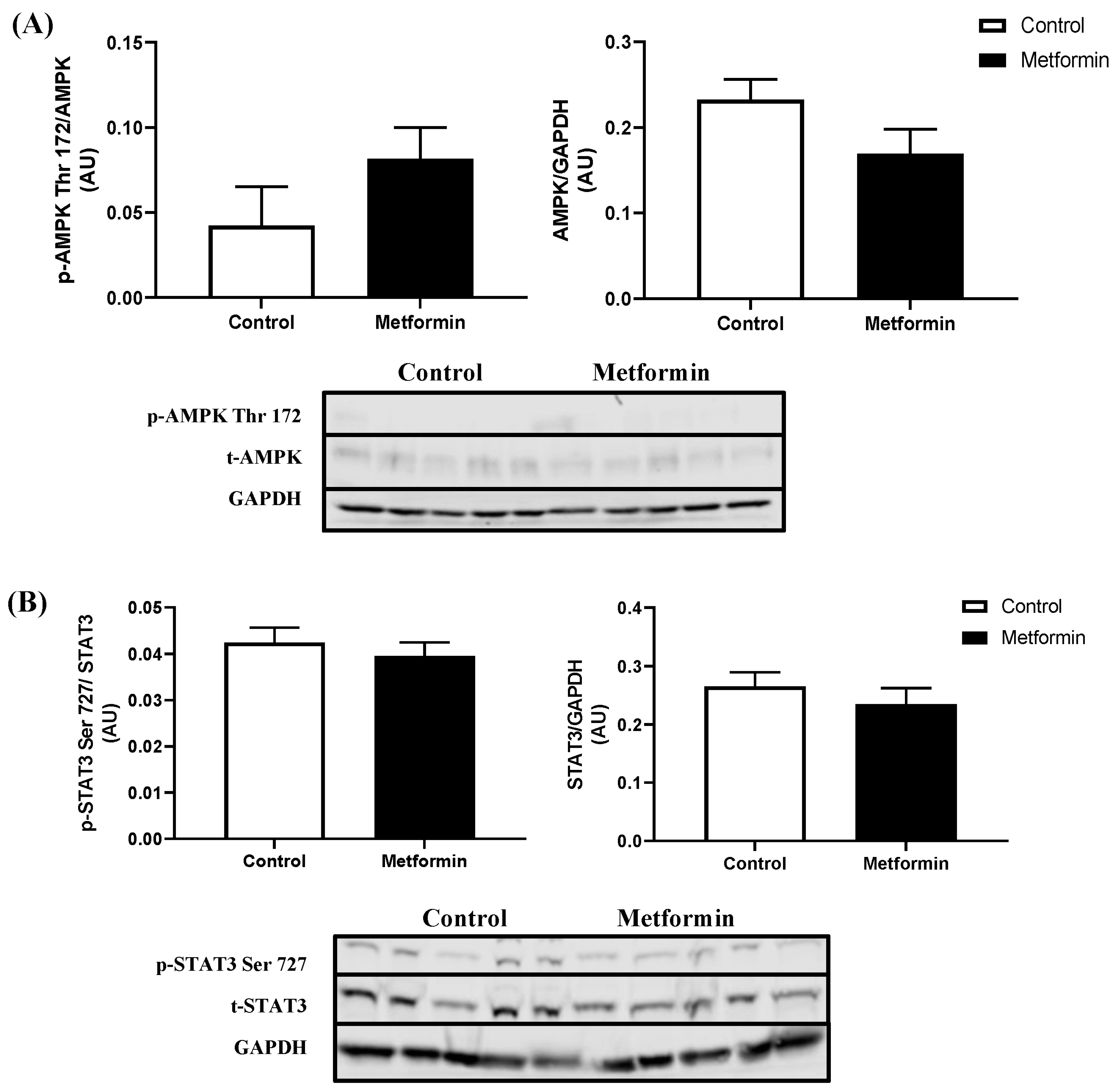 Biomedicines 11 00065 g004 Biomedicines 11 00065 g004