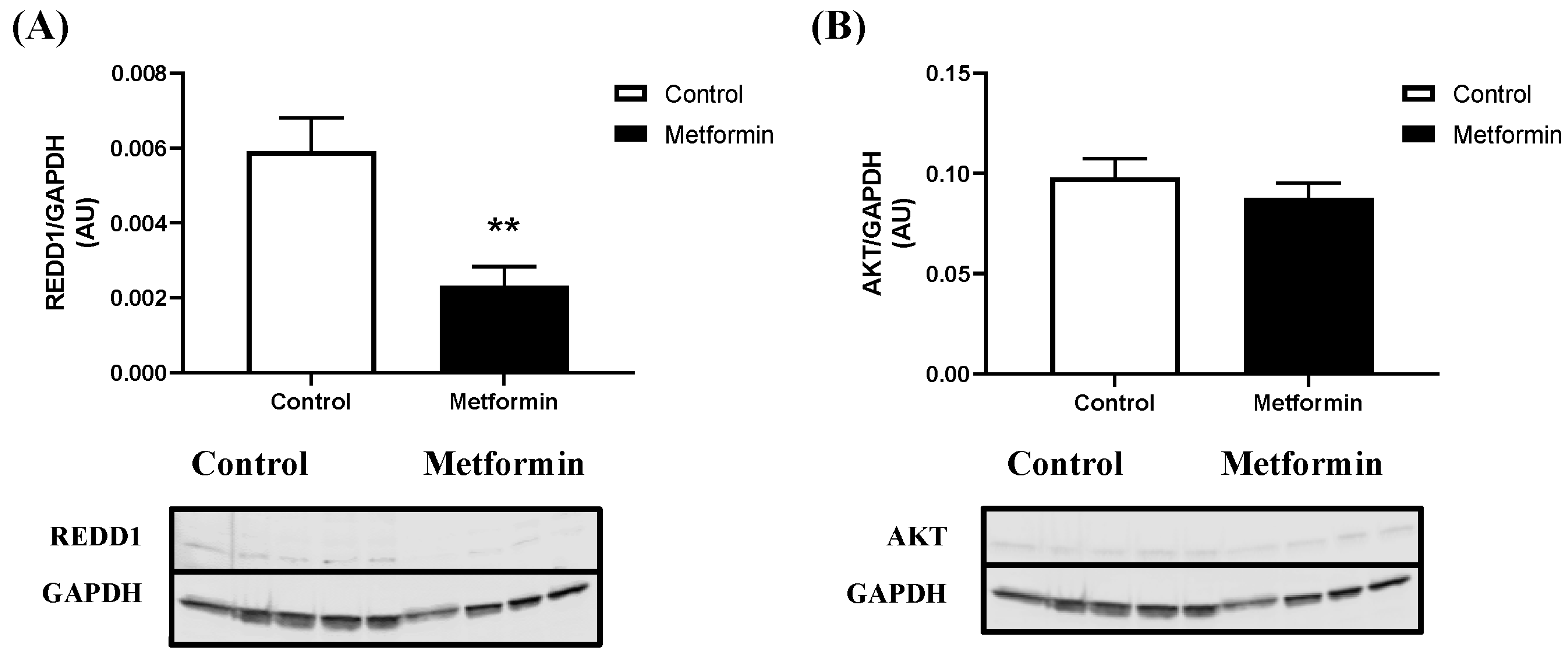 Biomedicines 11 00065 g005 Biomedicines 11 00065 g005
